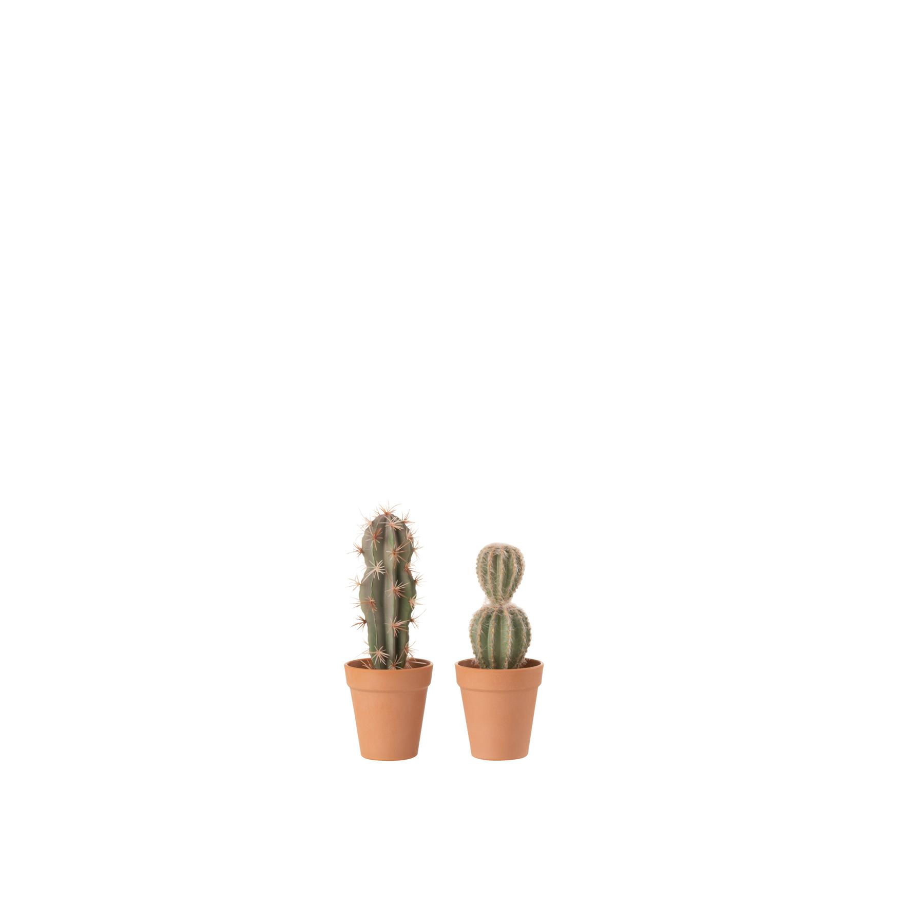 J-Line Cactus+Pot Kunststof Grn|Terracotta Small Assortiment Van 2