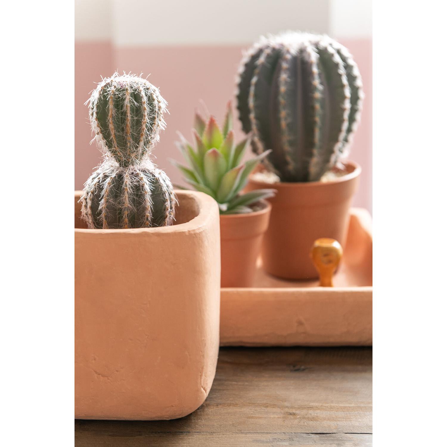 J-Line Cactus+Pot Kunststof Grn|Terracotta Small Assortiment Van 2