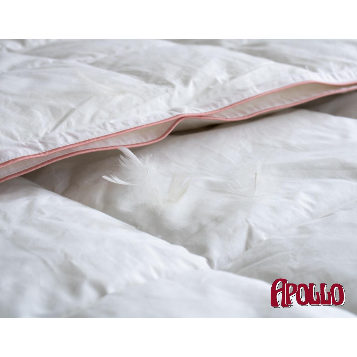 Apollo - Voldonzen Eendendons 4-Seizoenen Dekbed - 240x220cm