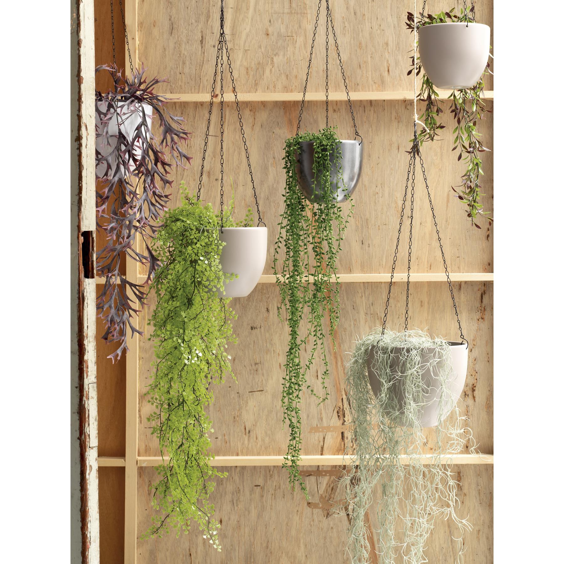 Mica Decorations Cypres Kunst Hangplant - H95 cm - Groen