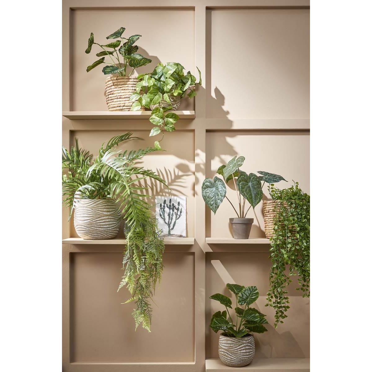 Mica Decorations Pothos Kunstplant - 17x17x44 cm - Groen