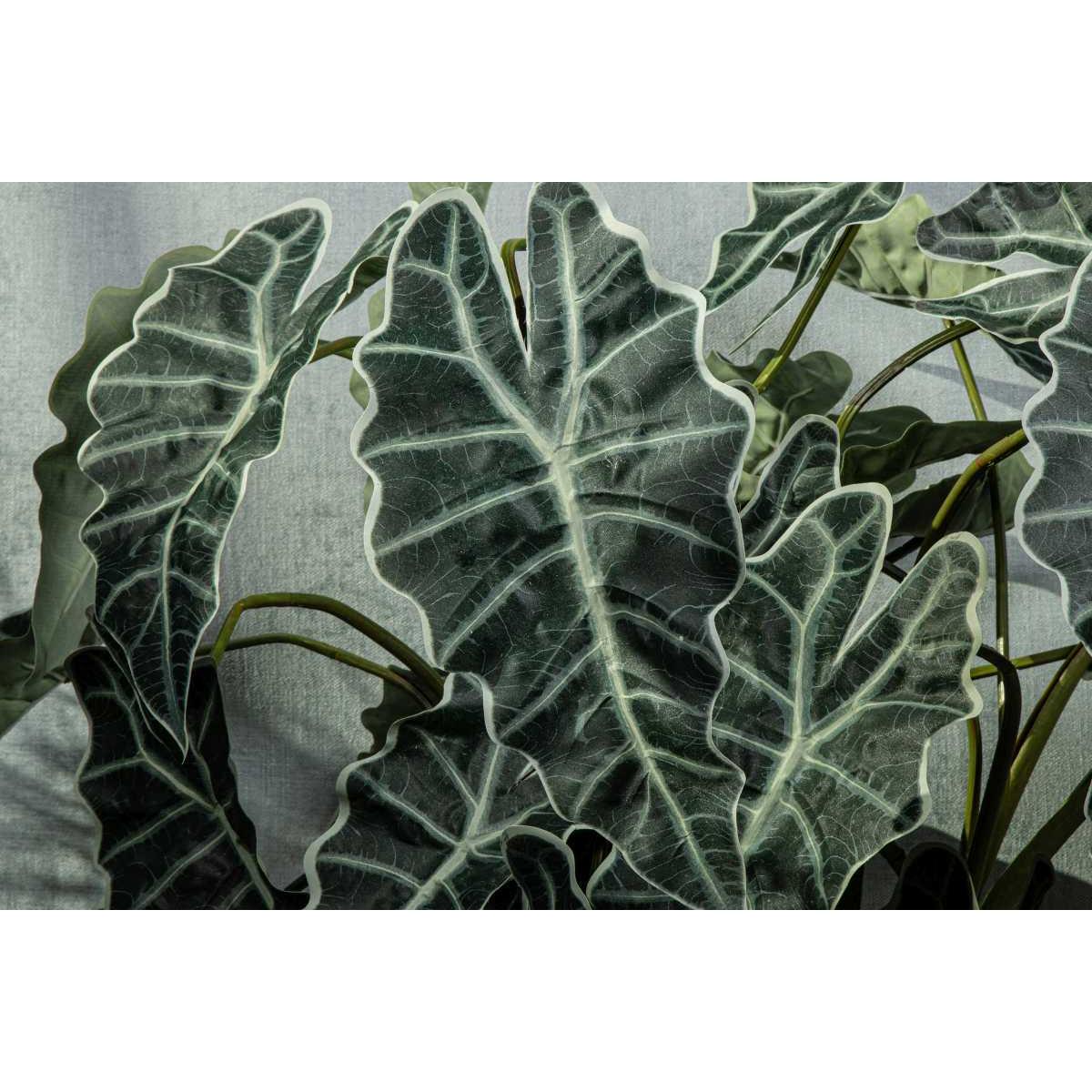 PTMD Alocasie Kunsttak - 119 x 34 x 118 cm  - Kunststof - Groen