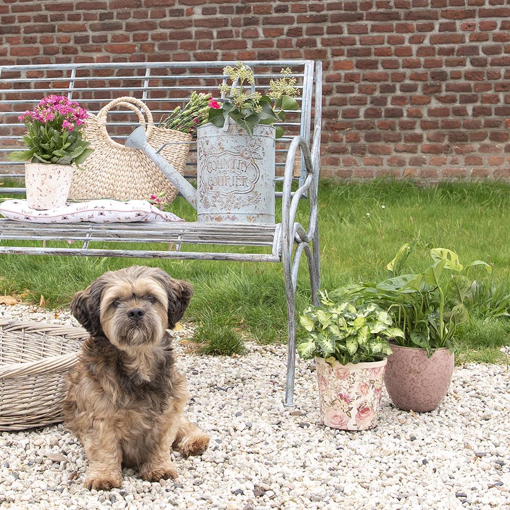 Clayre & Eef Hondenmand  74x57x19 cm Grijs Rotan Ovaal Hondenbed