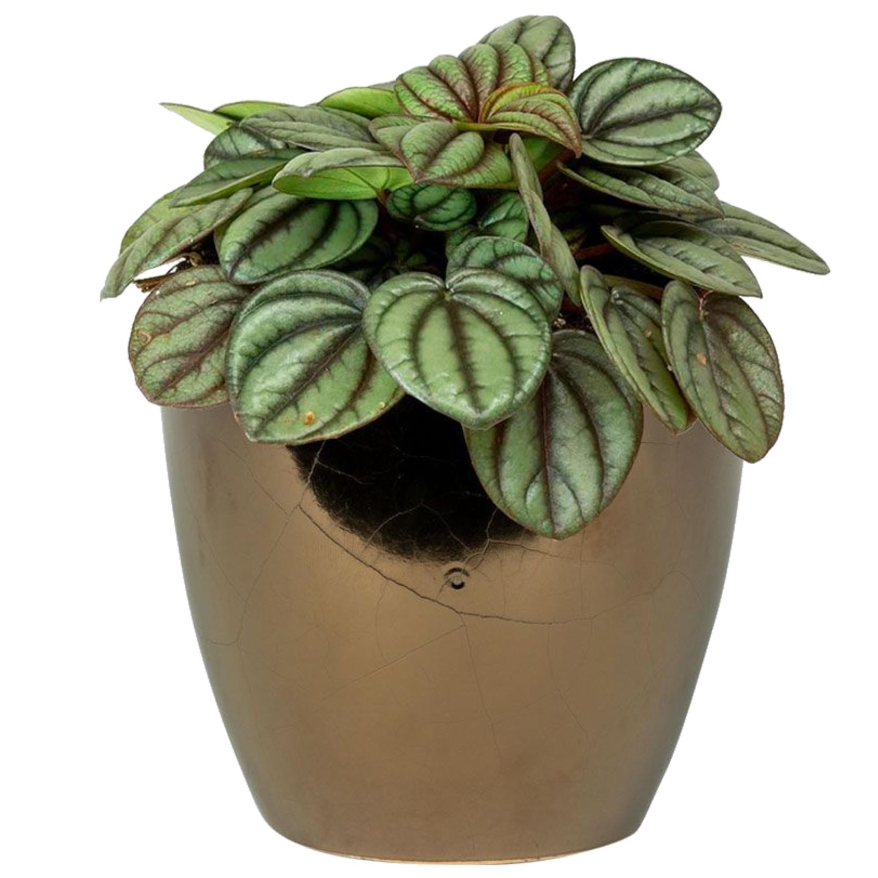 Ter Steege Bloempot - goud - Scandinavisch - 18 x 16 cm