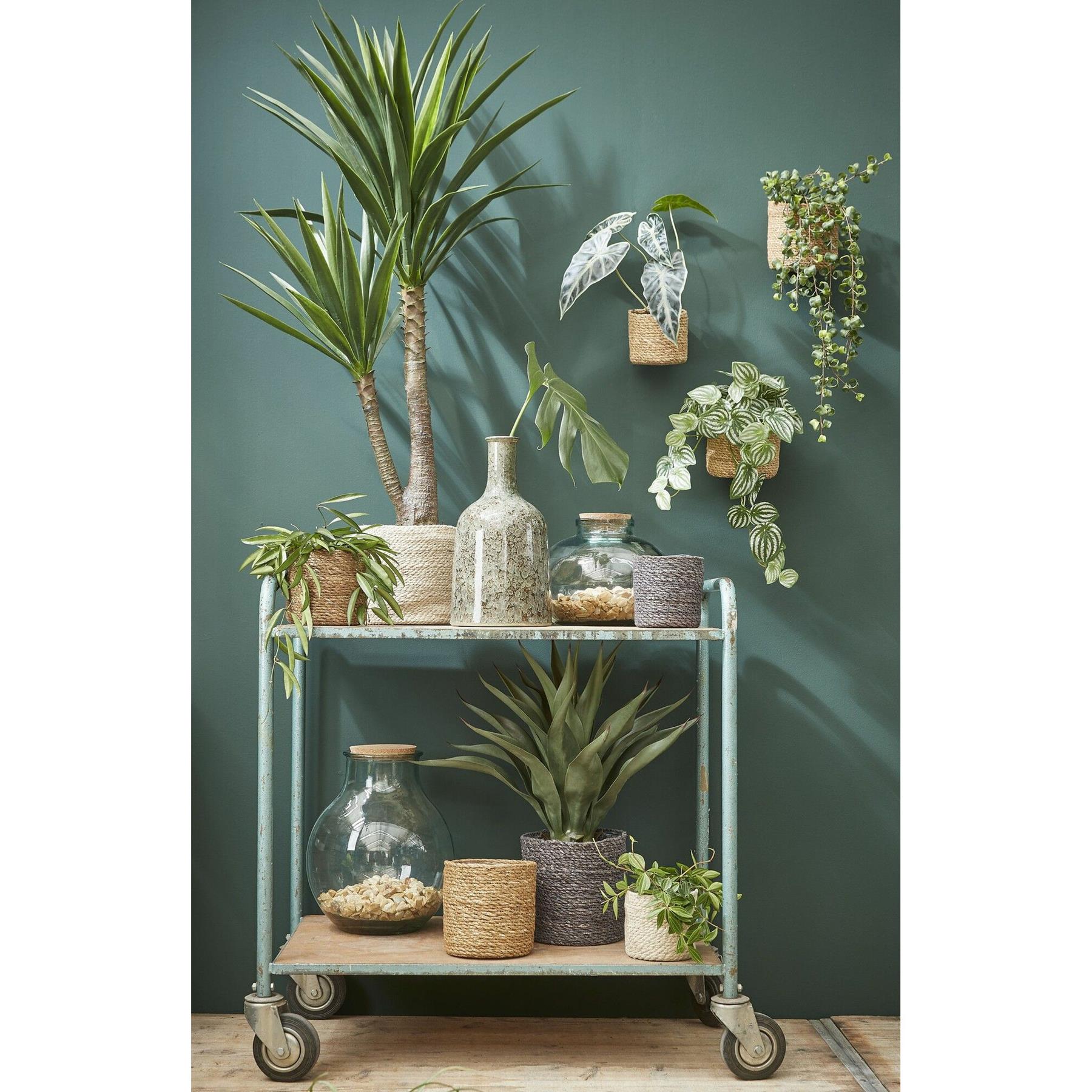 Mica Decorations Plantenpot - rotan - bruin - plantenmand - 12x12cm