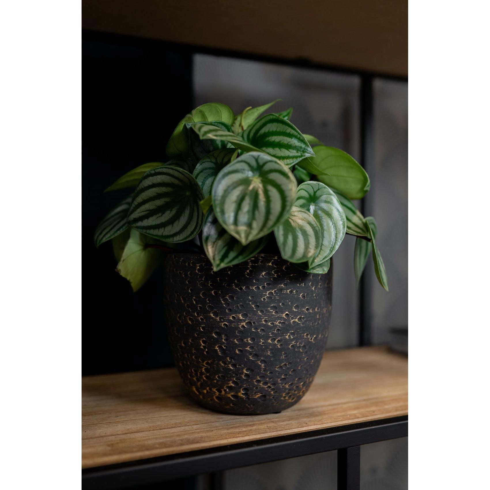 Ter Steege Plantenpot|Bloempot Lava Stone - zwart - D15 x H13 cm