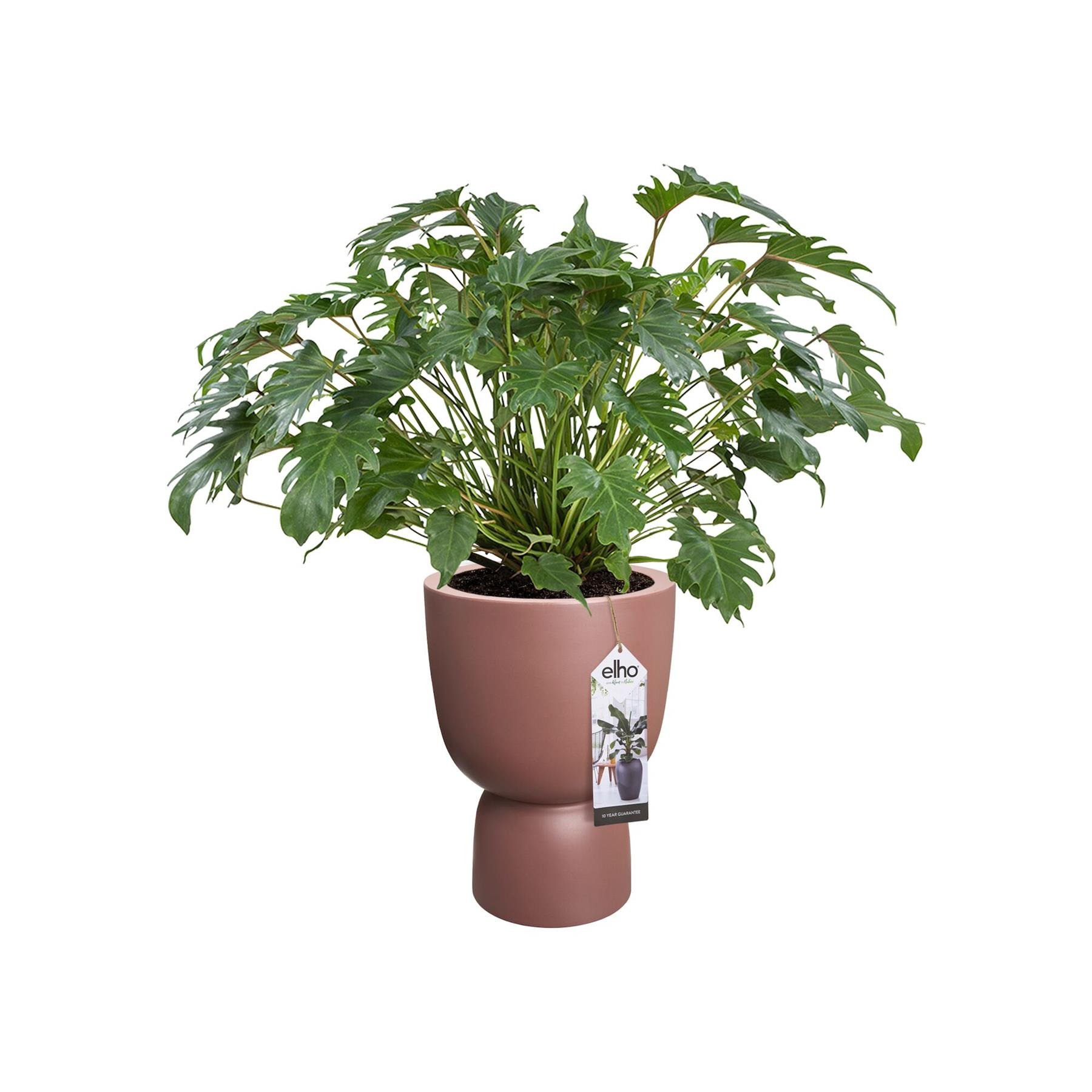 elho Pure Coupe Bloempot Ø 35 cm - Rosy Brown