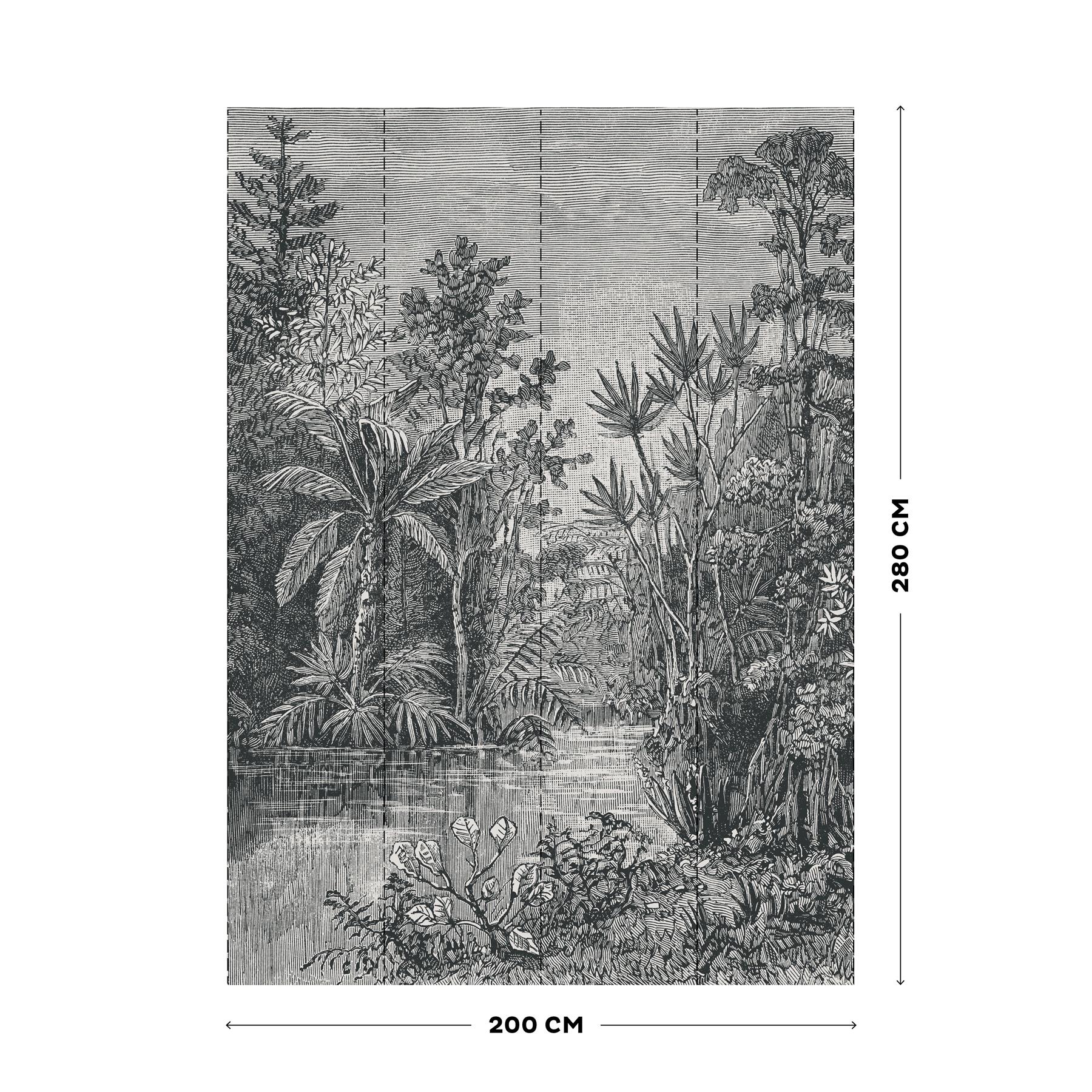 Art for the Home Jungle Fotobehang in Black 