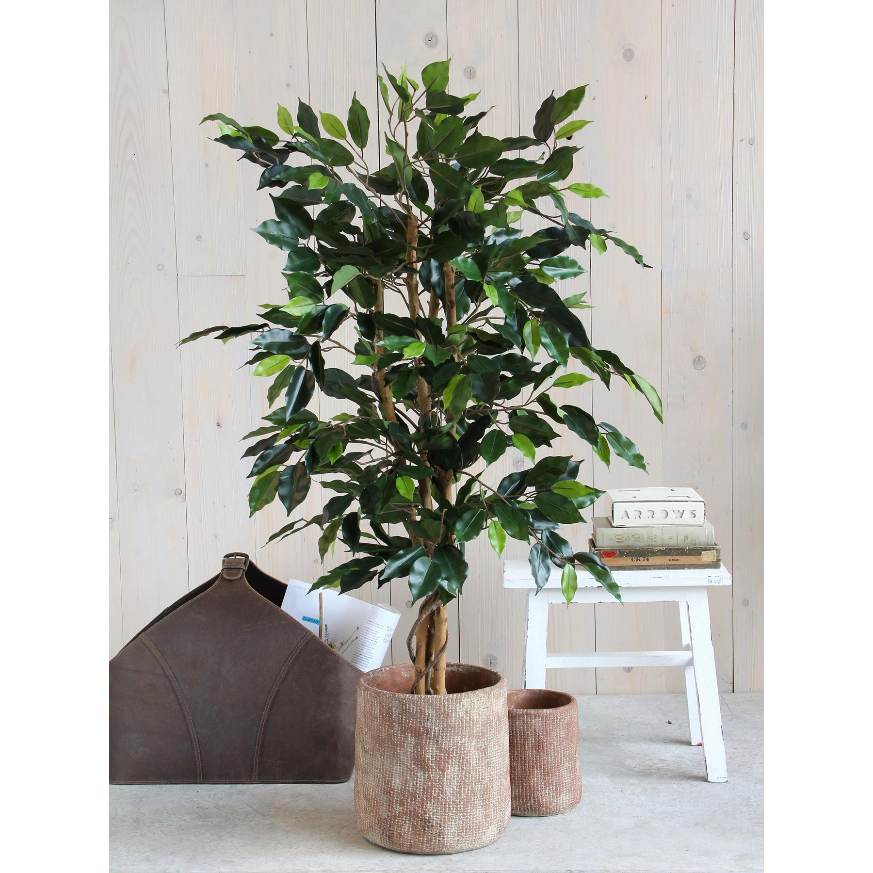 Mica Decorations Ficus Kunstplant - H105 x Ø60 cm - groen