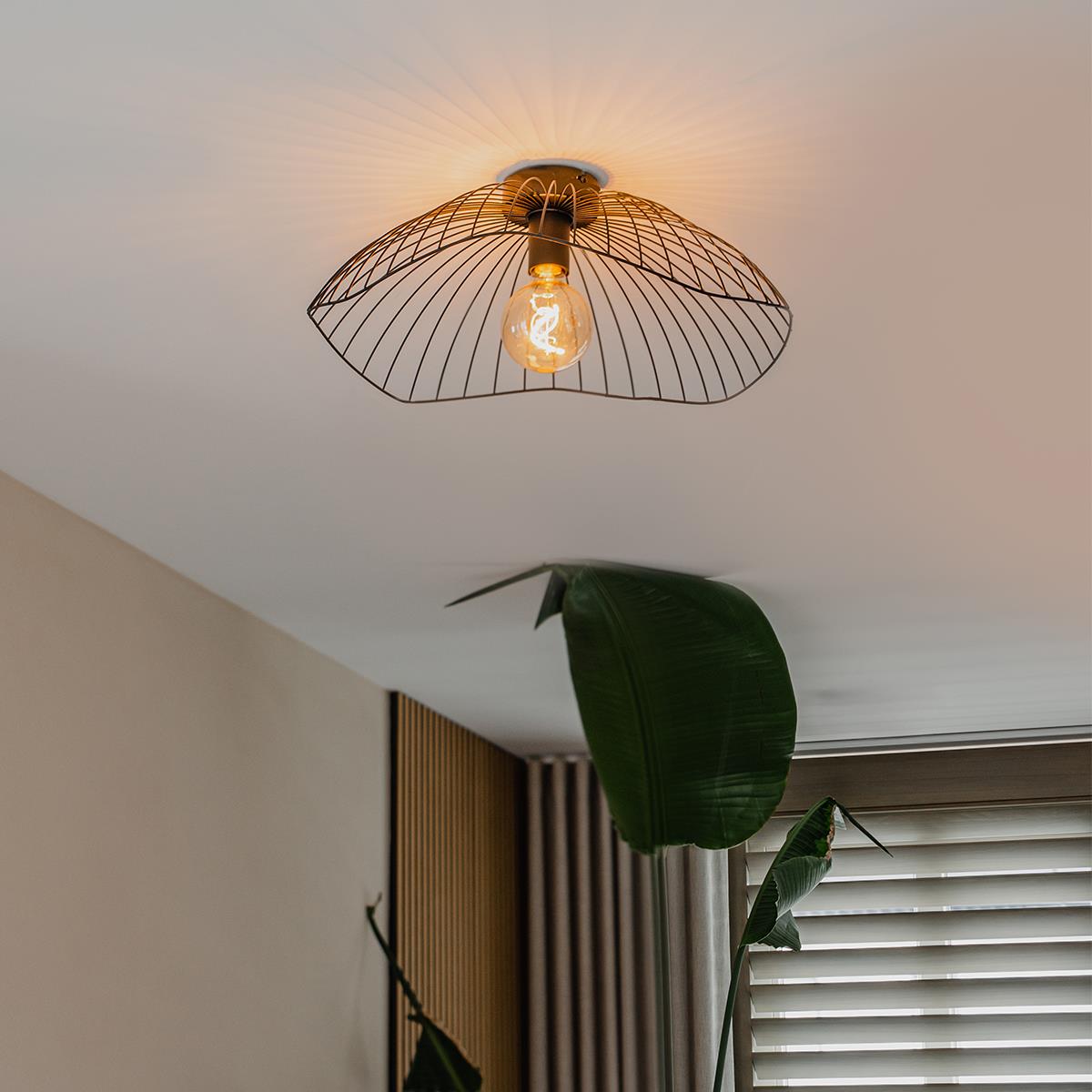 QAZQA Design plafondlamp zwart 50 cm - Pua