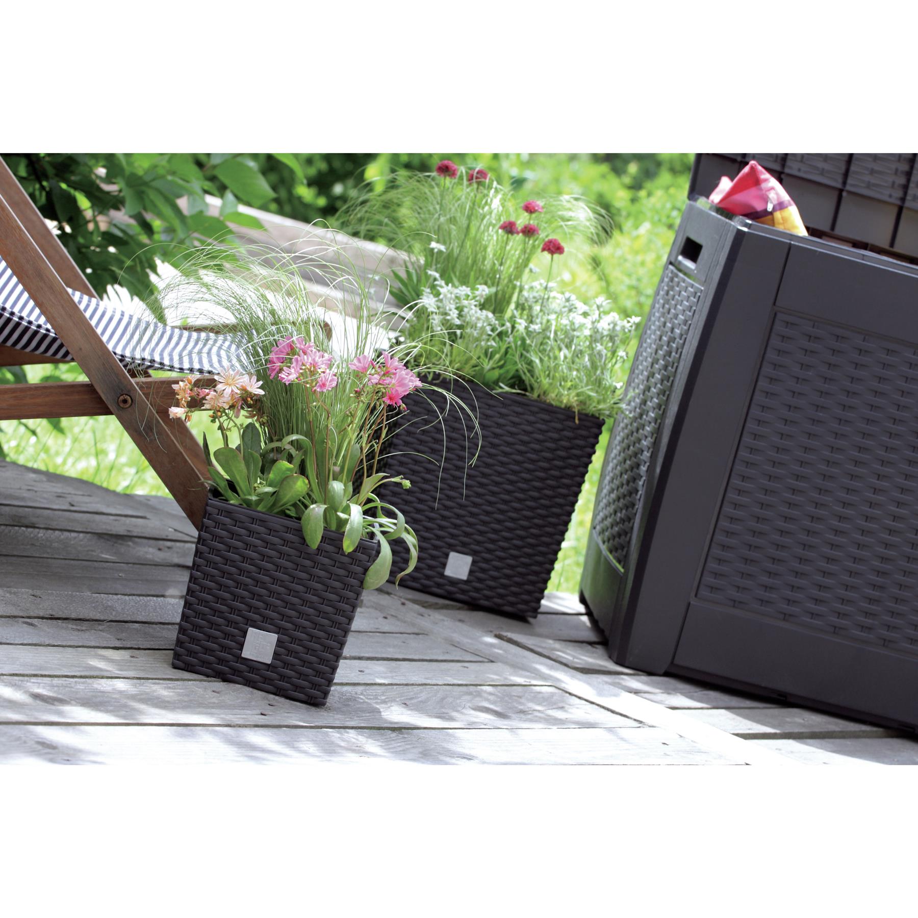 Prosperplast Plantenbak Rato - antraciet - kunststof - 22 cm