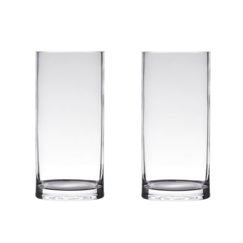 Hakbijl Glass Vaas - cilinder - glas - transparant - 12 x 40 cm
