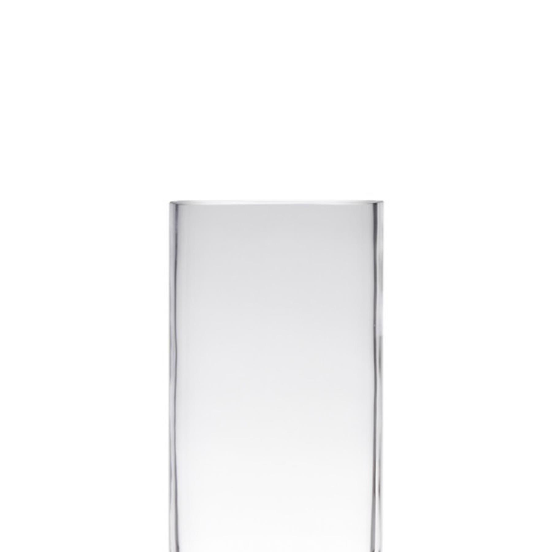 Hakbijl Glass Vaas - cilinder - glas - transparant - 12 x 40 cm
