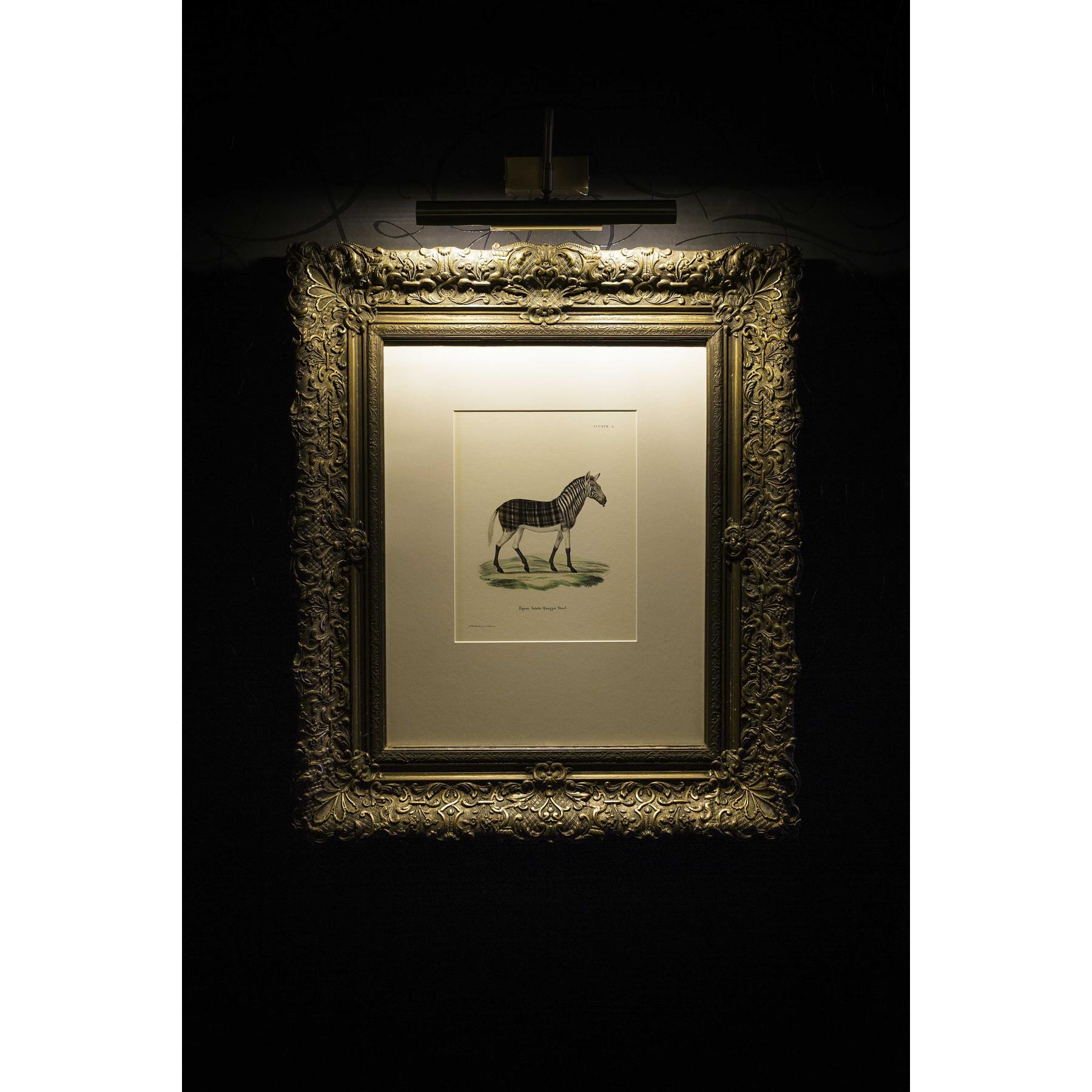 Moooi Carpets Aristo Quagga vloerkleed 200x300
