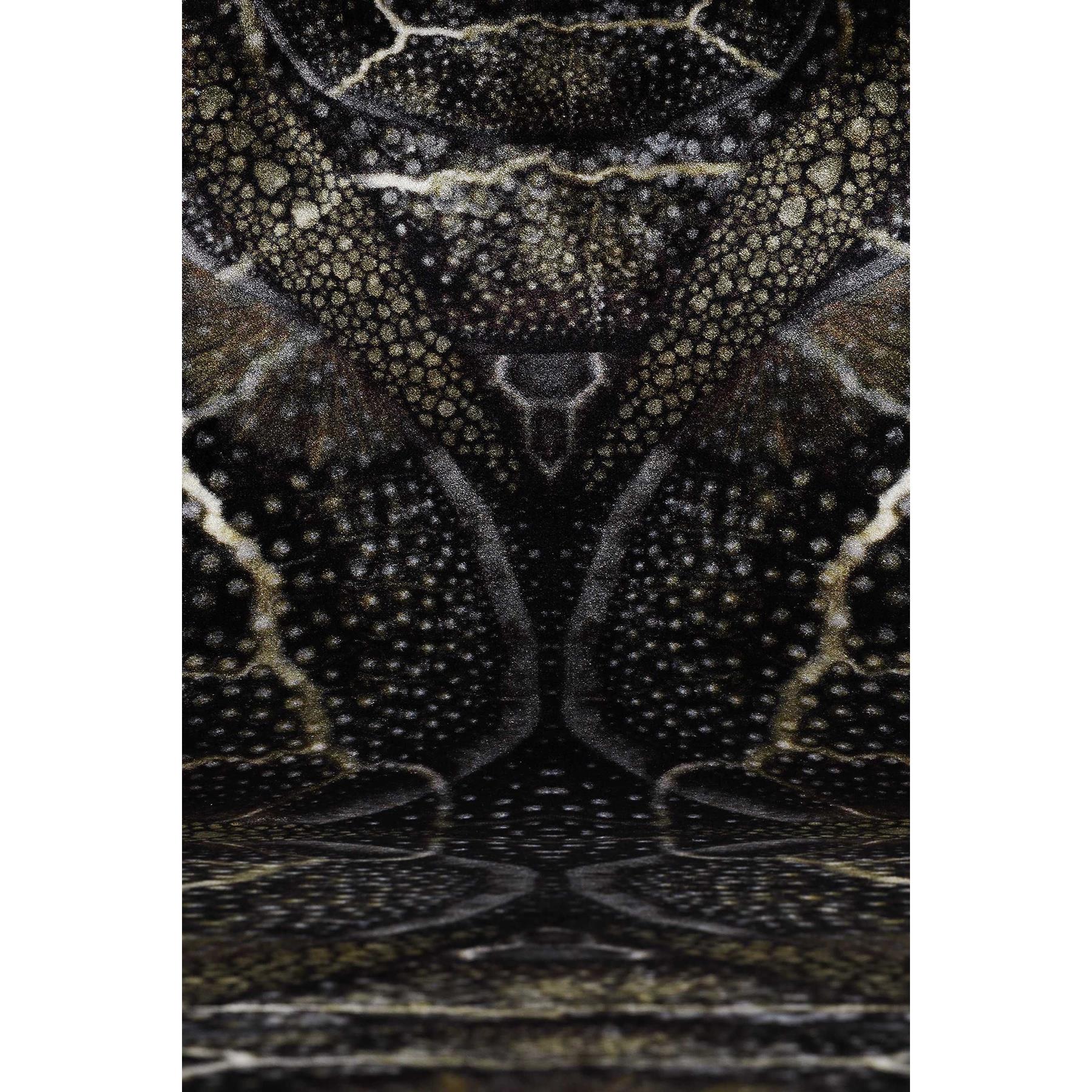 Moooi Carpets Blooming Seadragon vloerkleed 200x300