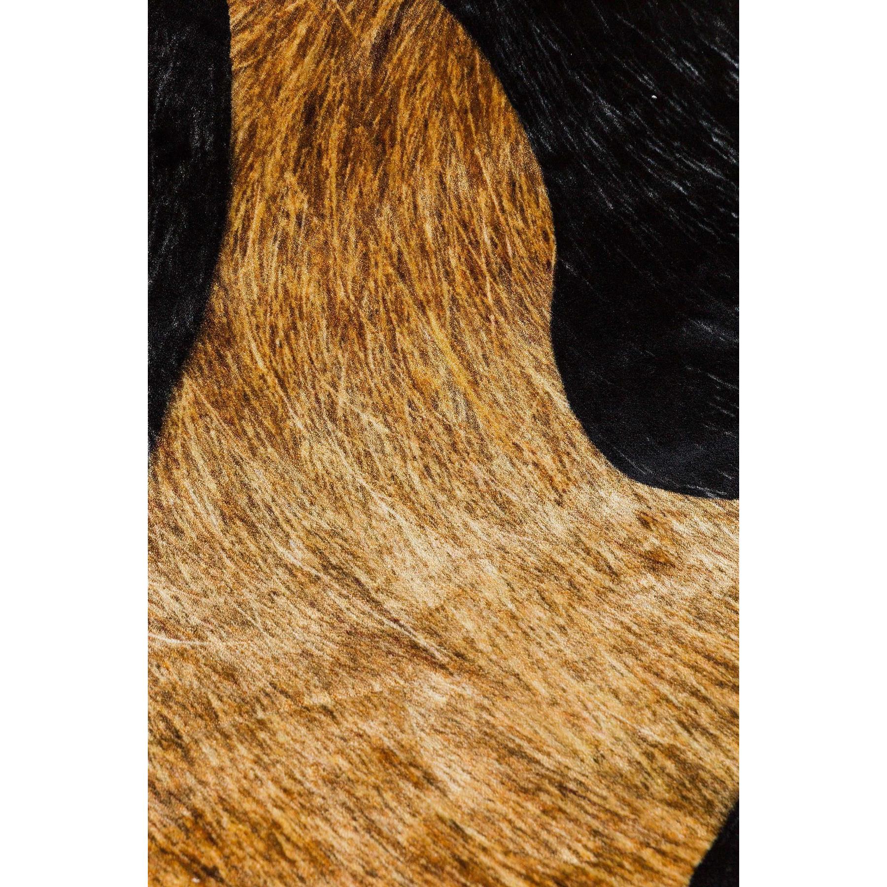 Moooi Carpets Bearded Leopard 1 vloerkleed 206x249