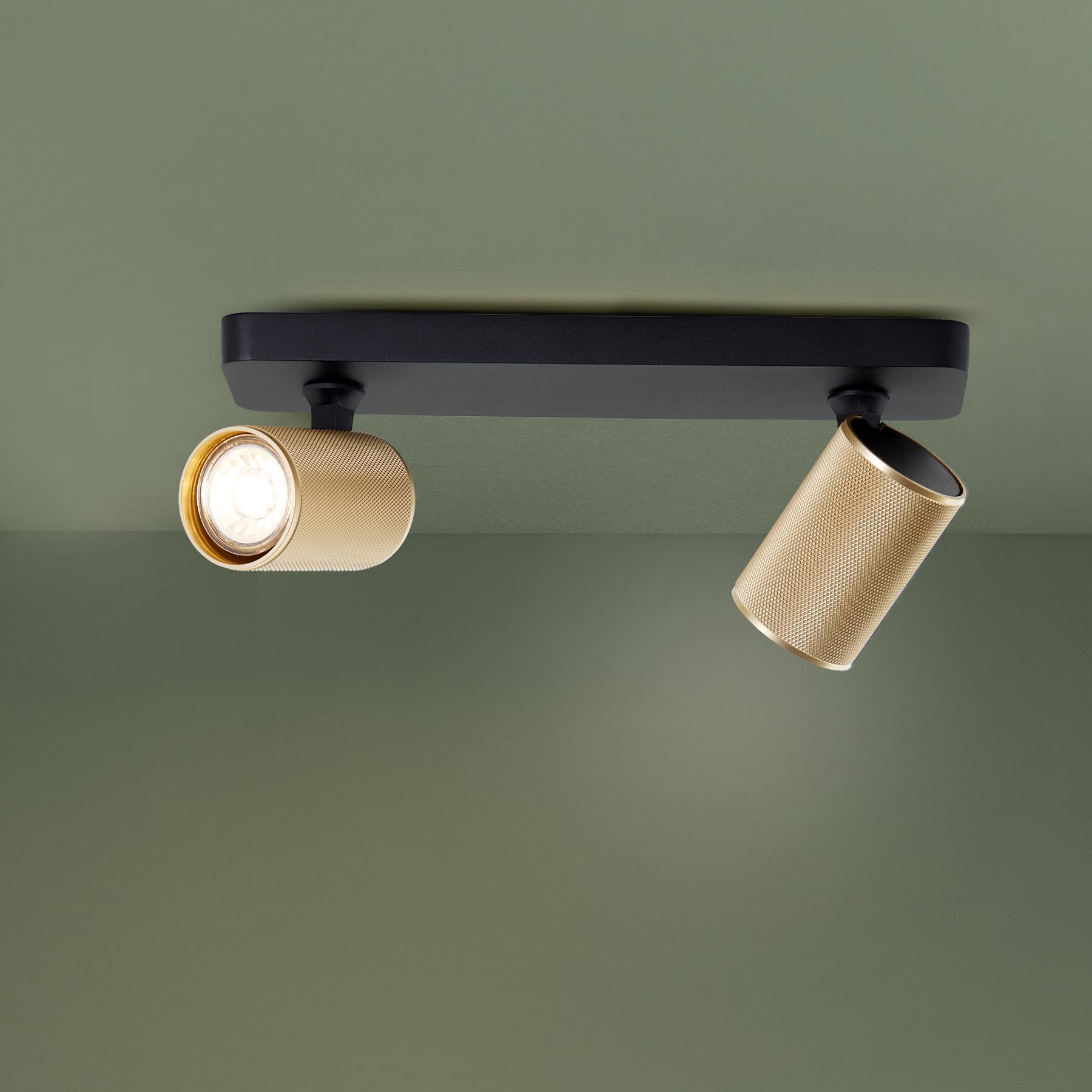 Brilliant Marty Plafondlamp 2-lichts - Zwart/Goud