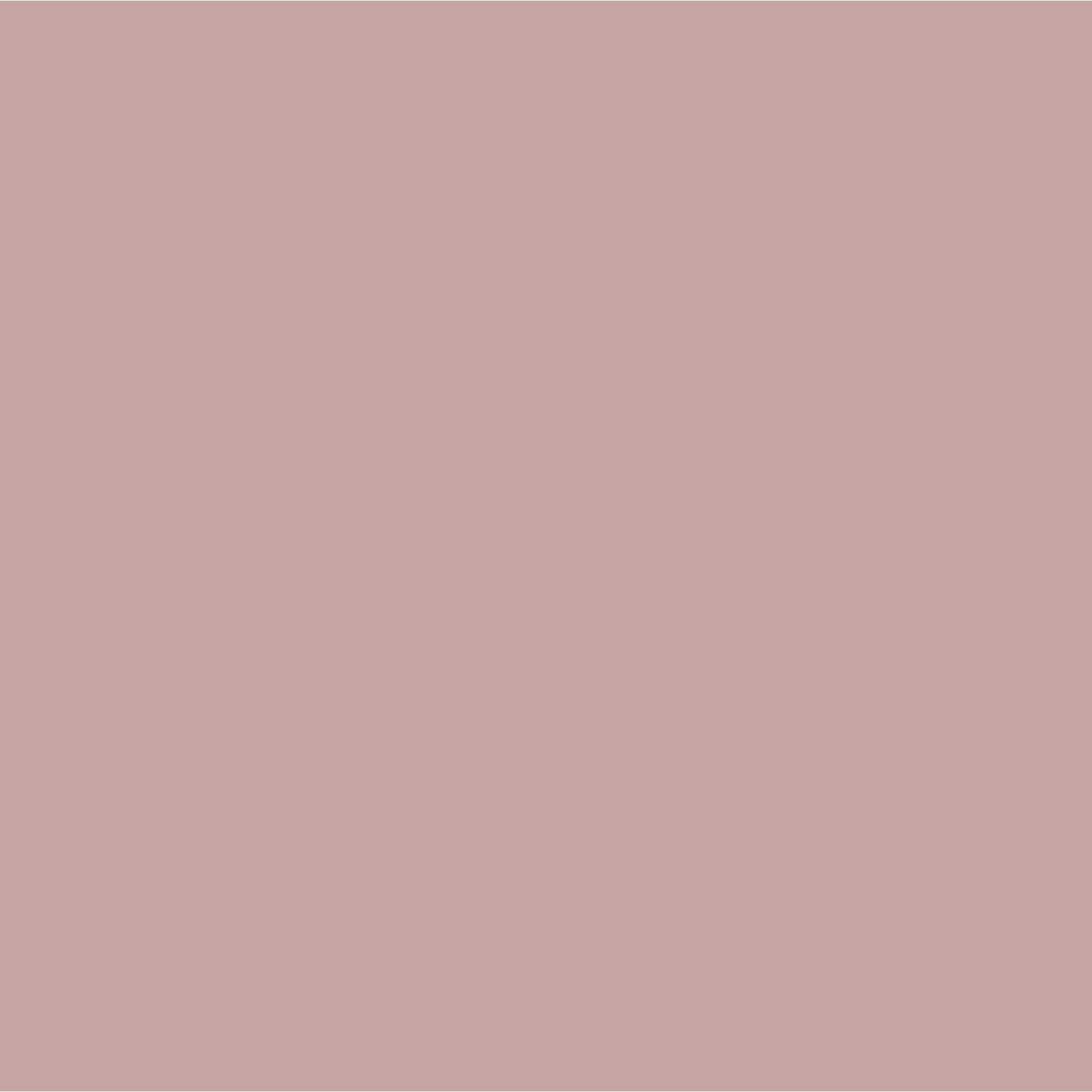 Graham & Brown Testerpot Matte Muurverf Malva 100ml