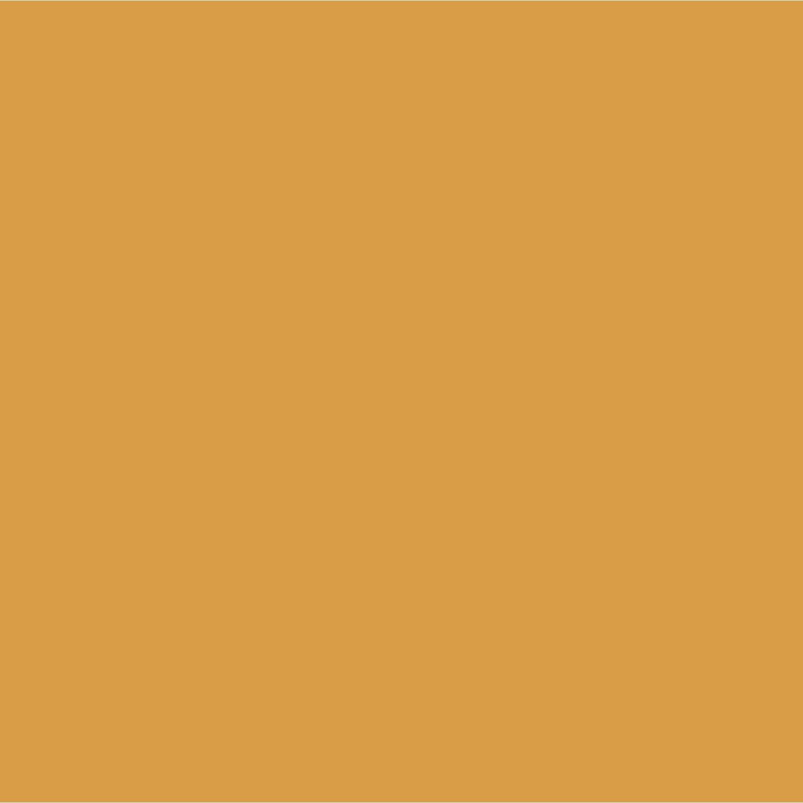 Graham & Brown Testerpot Matte Muurverf Barcelona oranje 100ml