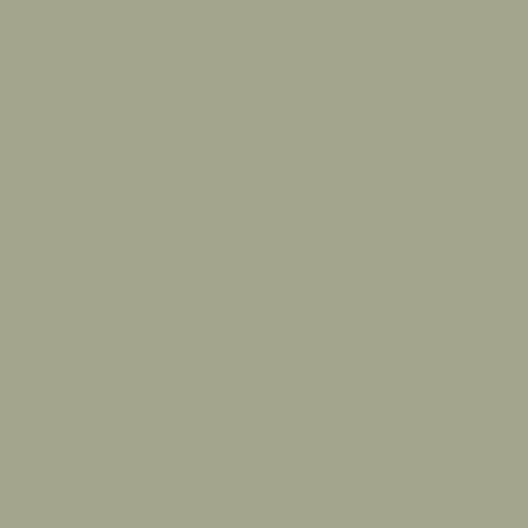 Graham & Brown Matte Muurverf groen Sage 2,5L
