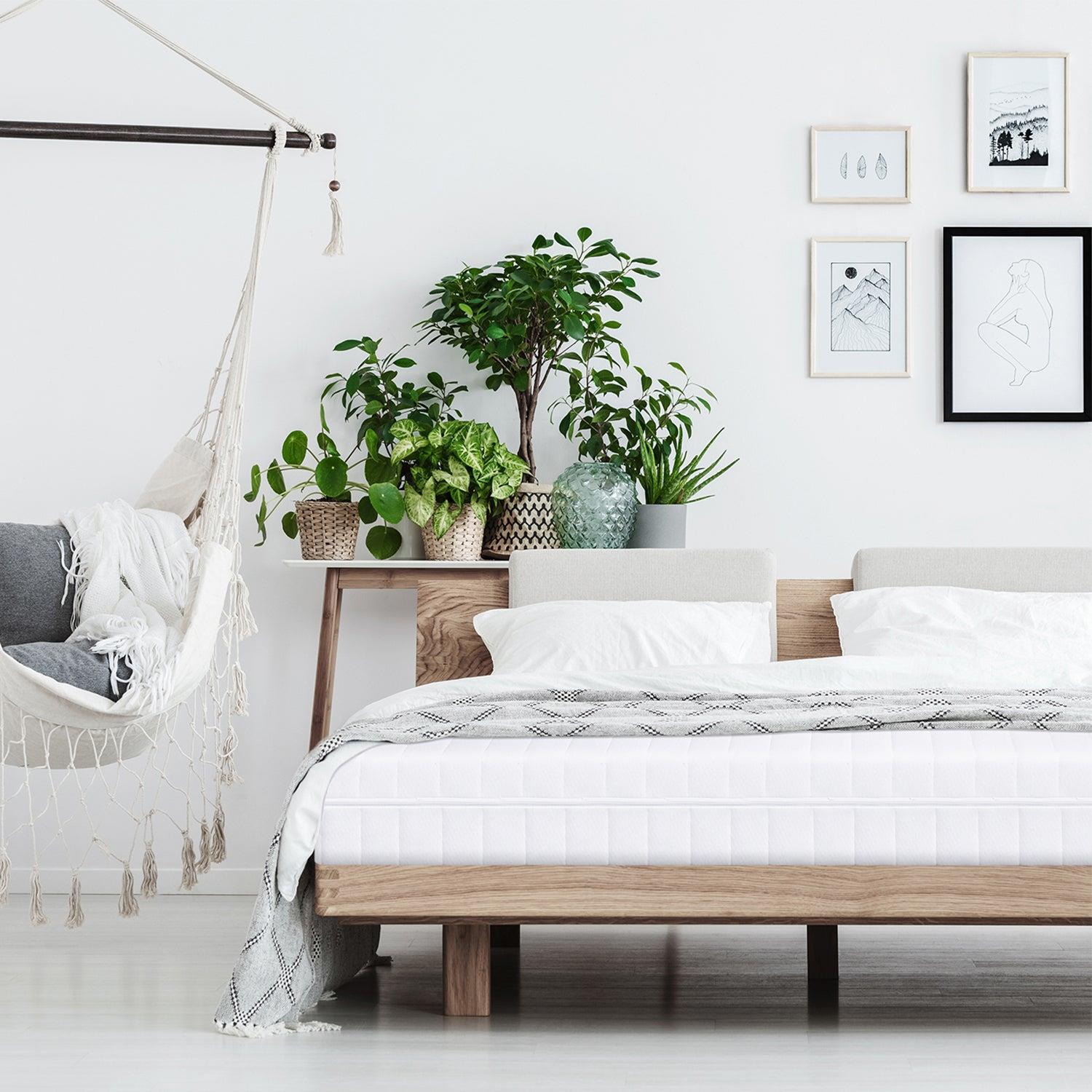 Mister Sandman - Stevige Matras 180x200x15 - 7 ergonomische zones