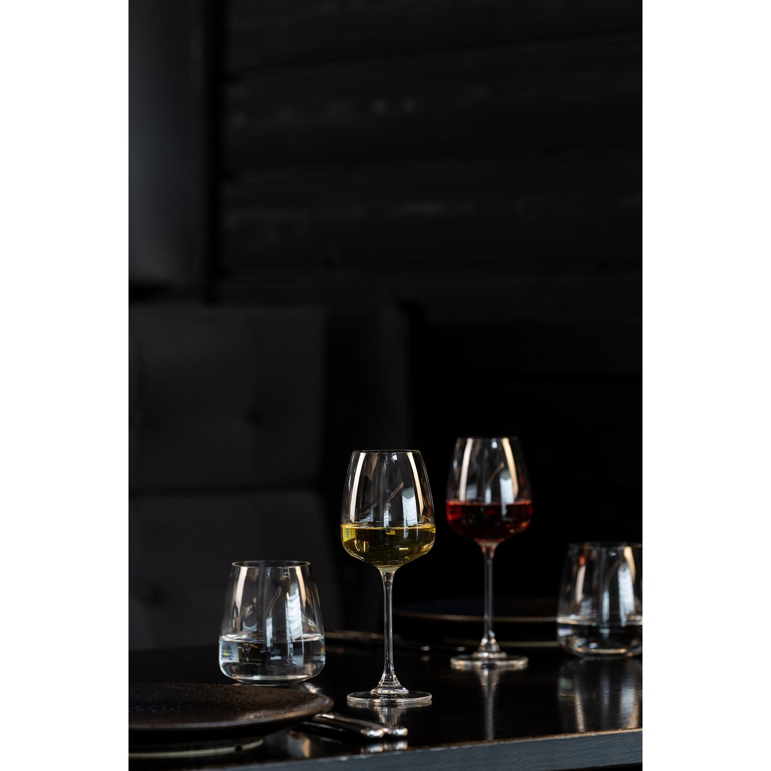 Royal Leerdam Wijnglas Experts Collection 29 cl 6 stuk(s)