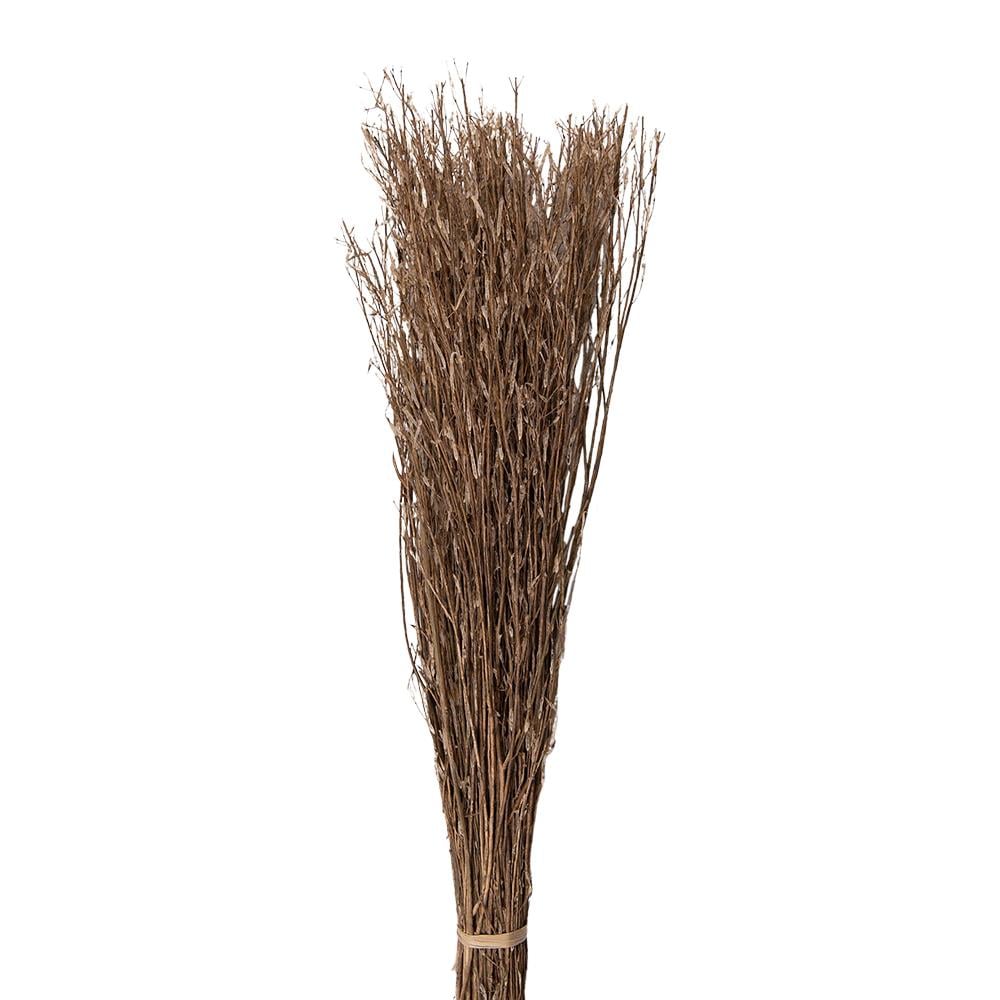 Clayre & Eef Droogbloemen  80 cm Beige Droogbloemen Droogboeket