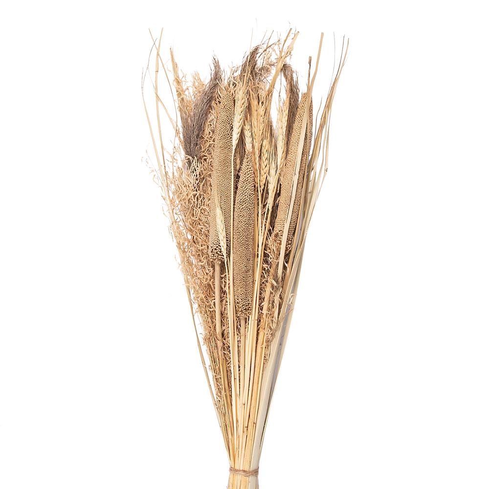 Clayre & Eef Droogbloemen  80 cm Beige Droogbloemen Droogboeket