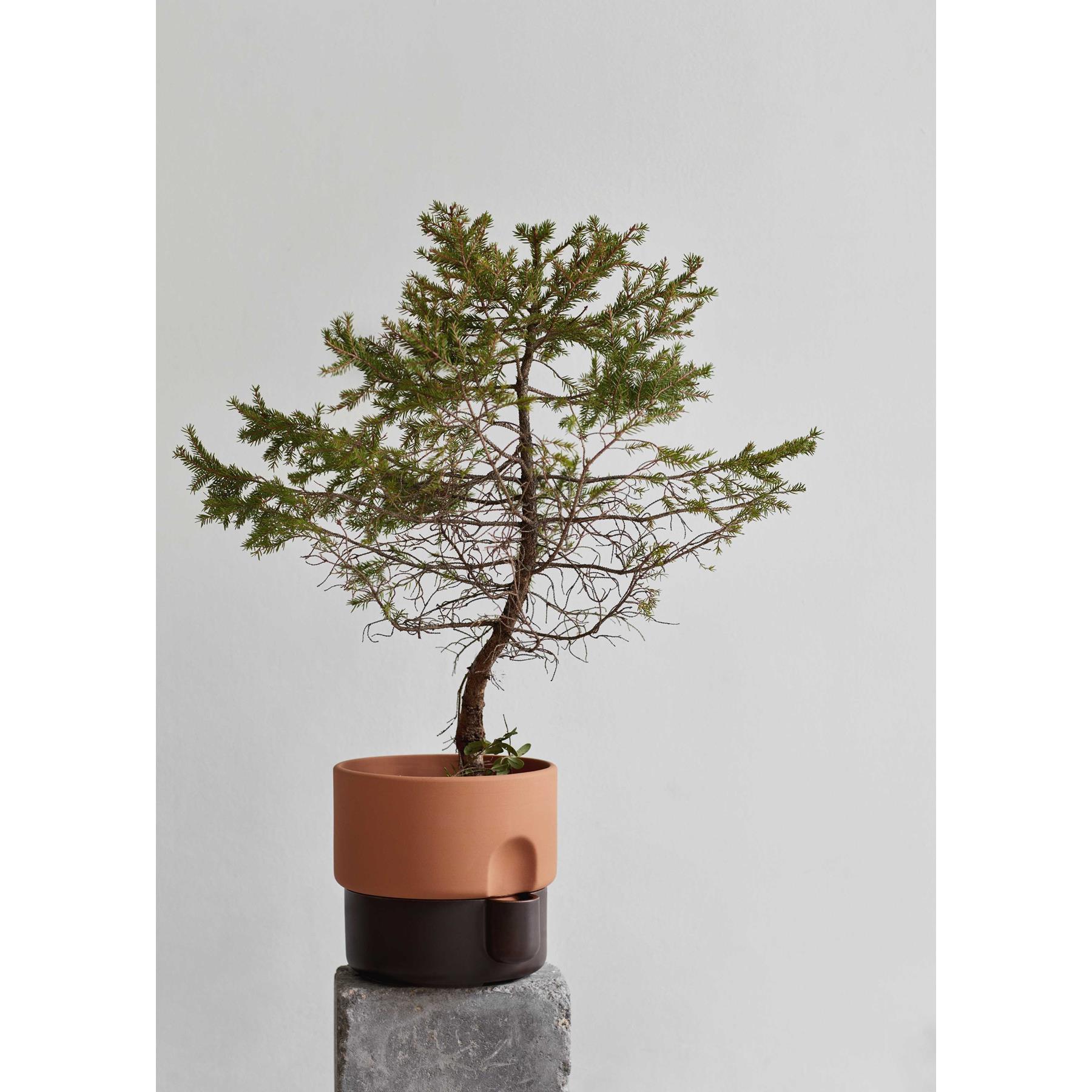 Northern Oasis plantenbak medium Ø20.5 donkerbruin|terracotta