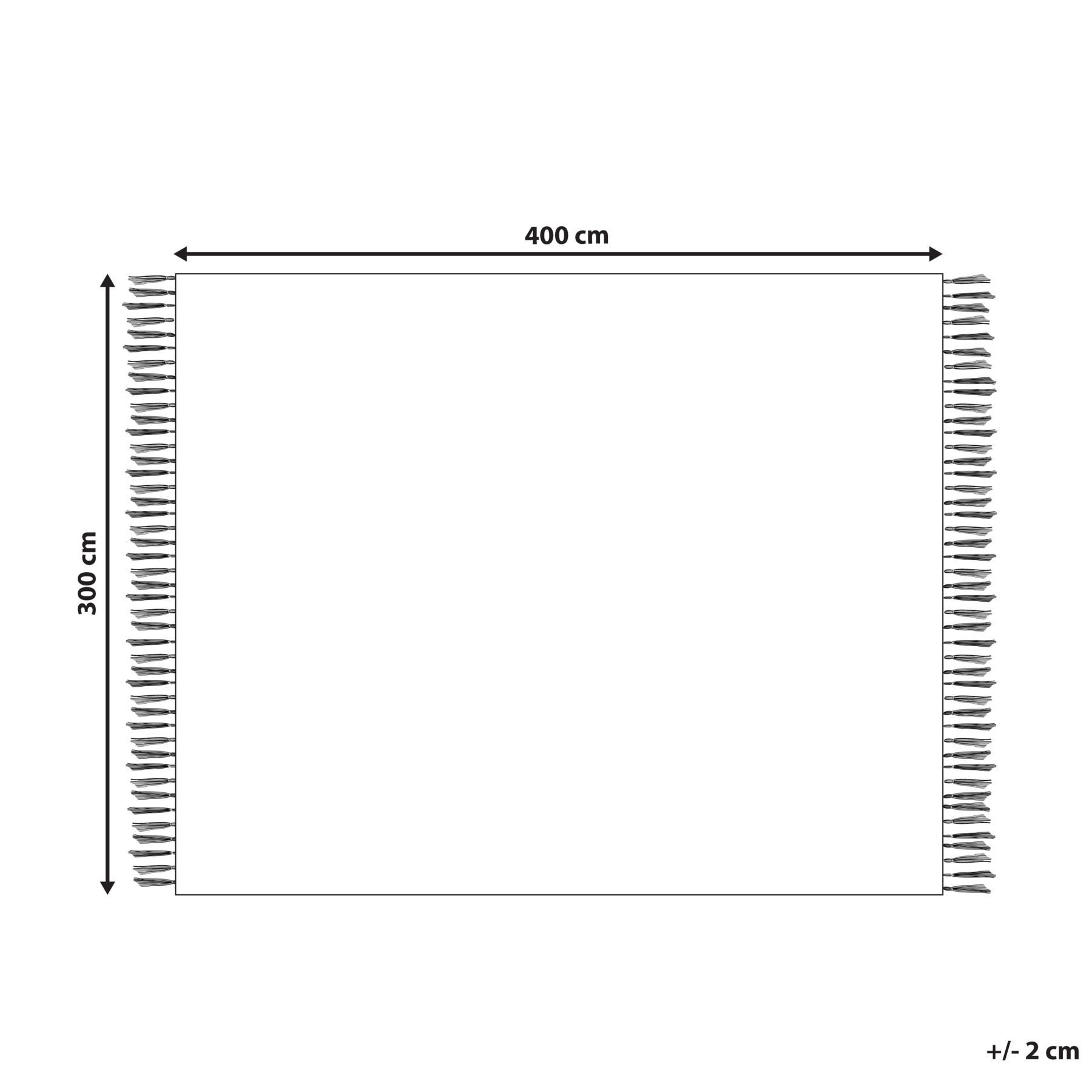 Beliani - ERICEK - Vloerkleed - Beige - 300 x 400 cm - Jute