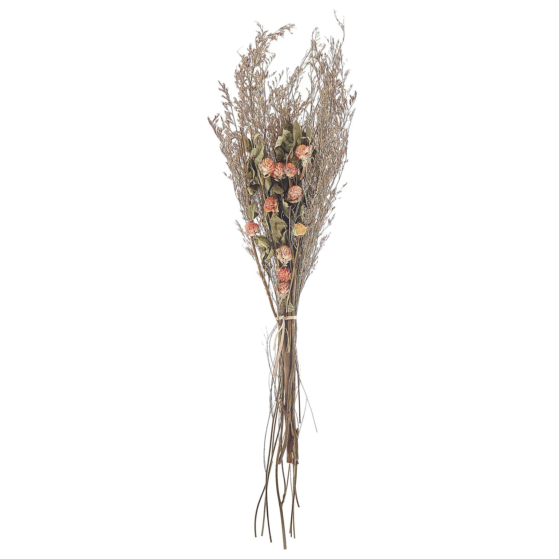 Beliani - AZUEL - Droogbloemen boeket - Natuurlijk - Droogbloemen