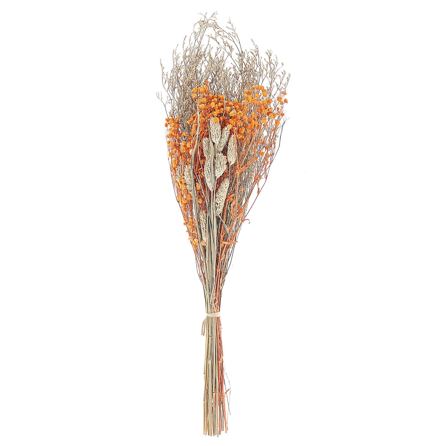 Beliani-CERCEDILLA-Droogbloemen boeket-Natuurlijk -Droogbloemen