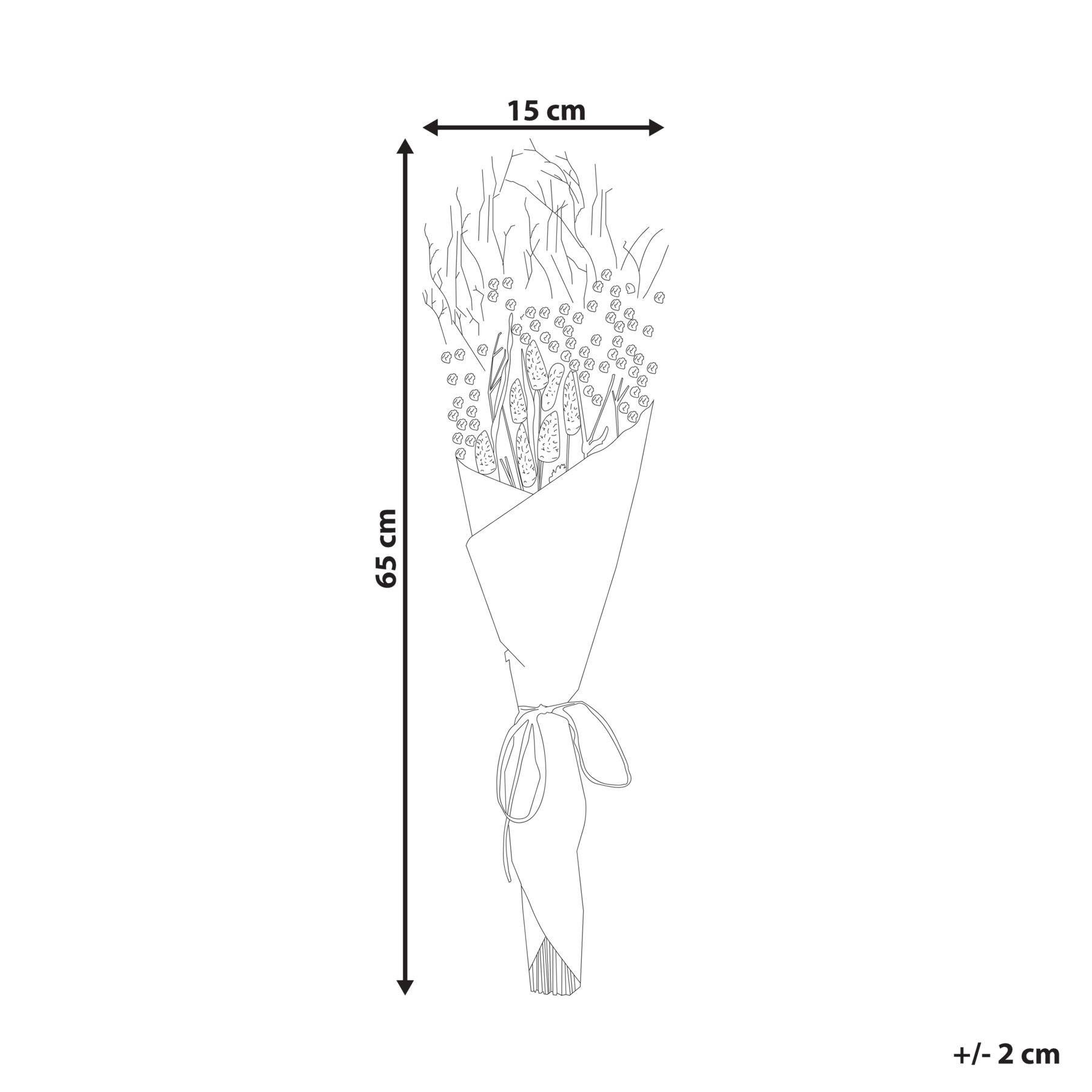 Beliani-CERCEDILLA-Droogbloemen boeket-Natuurlijk -Droogbloemen