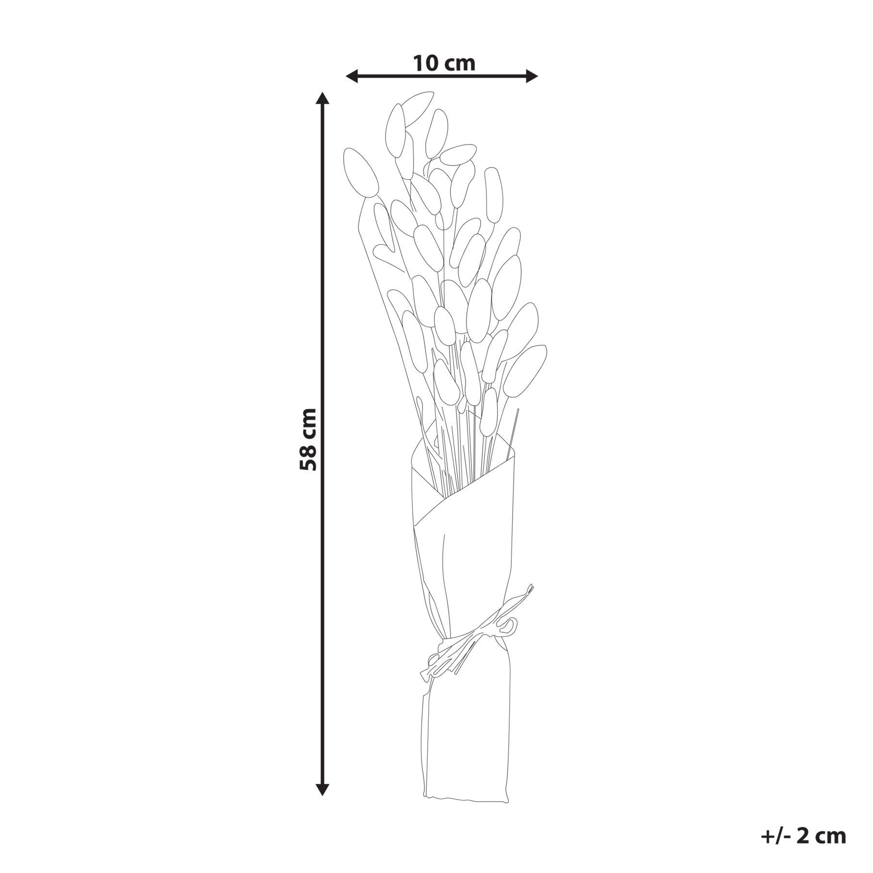 Beliani - SANABRIA - Droogbloemen boeket - Natuurlijk - Droogbloemen