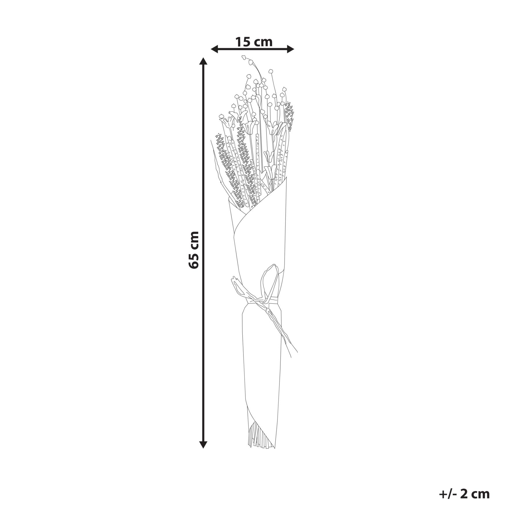 Beliani - PAMPELUNA - Droogbloemen boeket - Natuurlijk - Droogbloemen