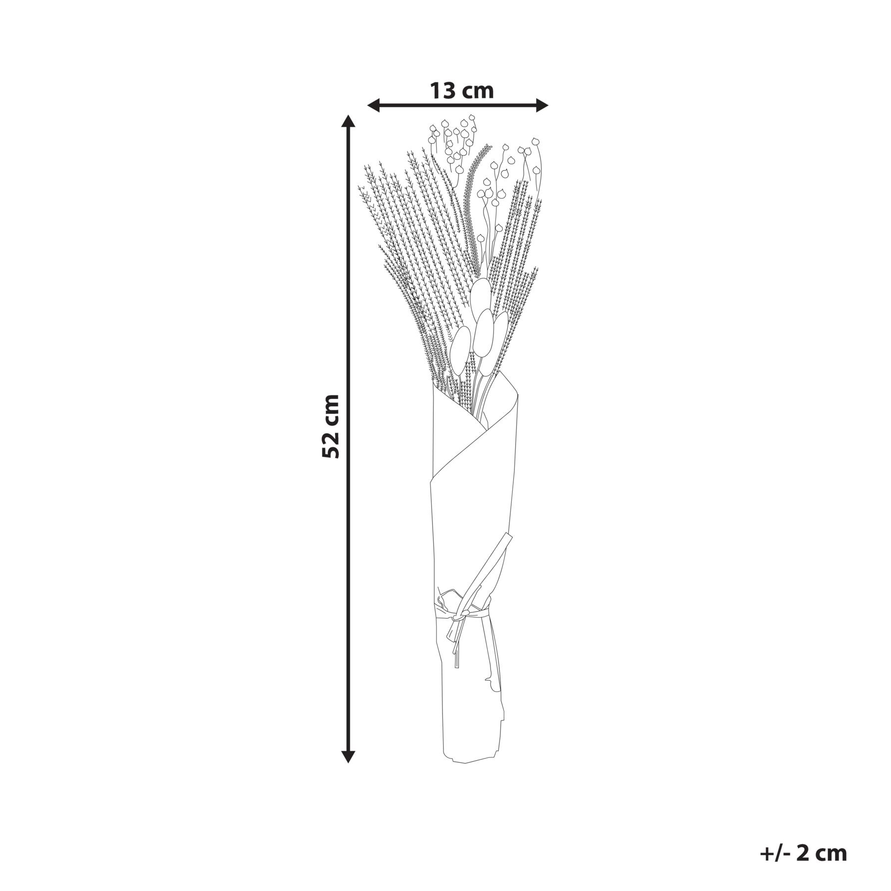 Beliani - CABRA - Droogbloemen boeket - Natuurlijk - Droogbloemen