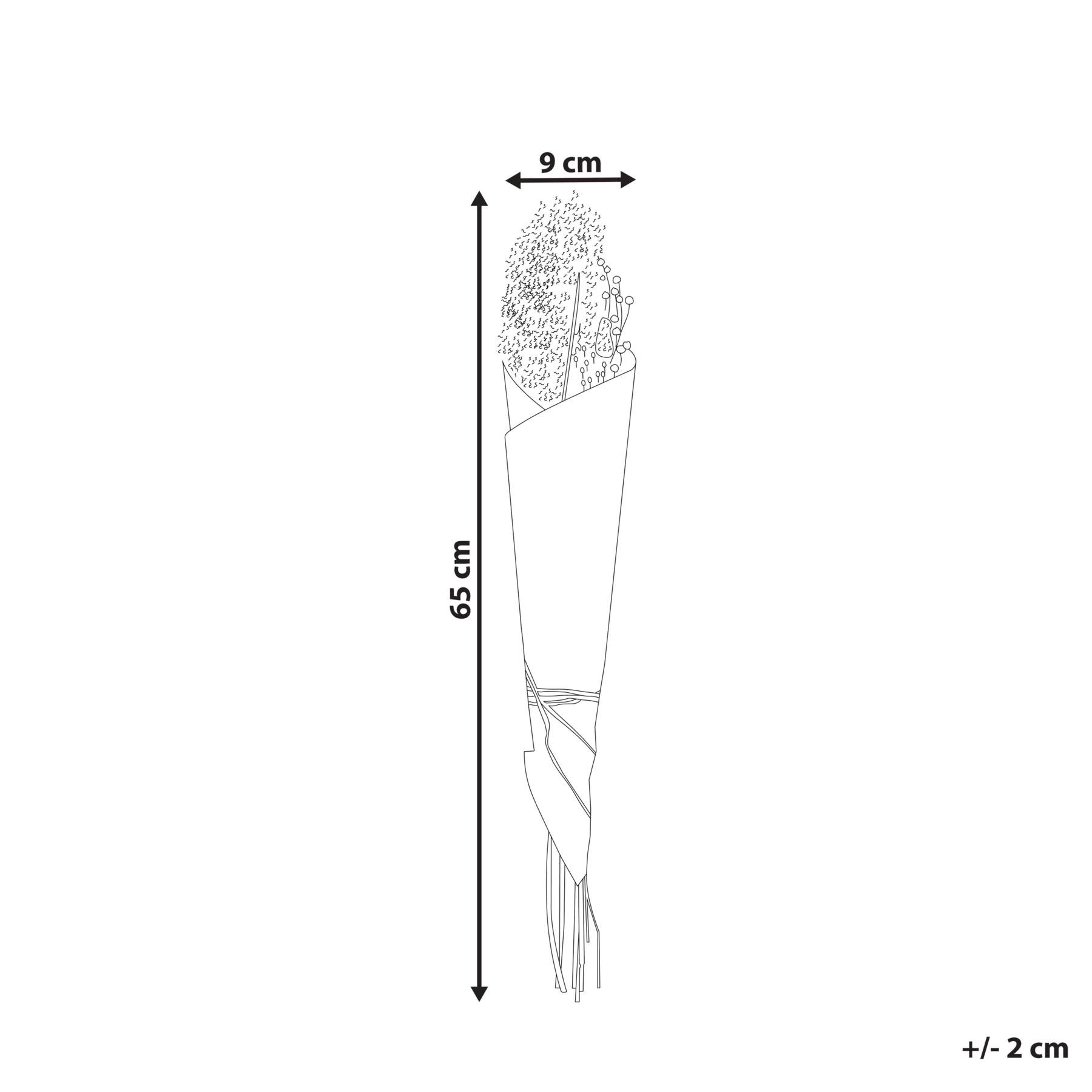 Beliani - BRUNETE - Droogbloemen boeket - Natuurlijk - Droogbloemen