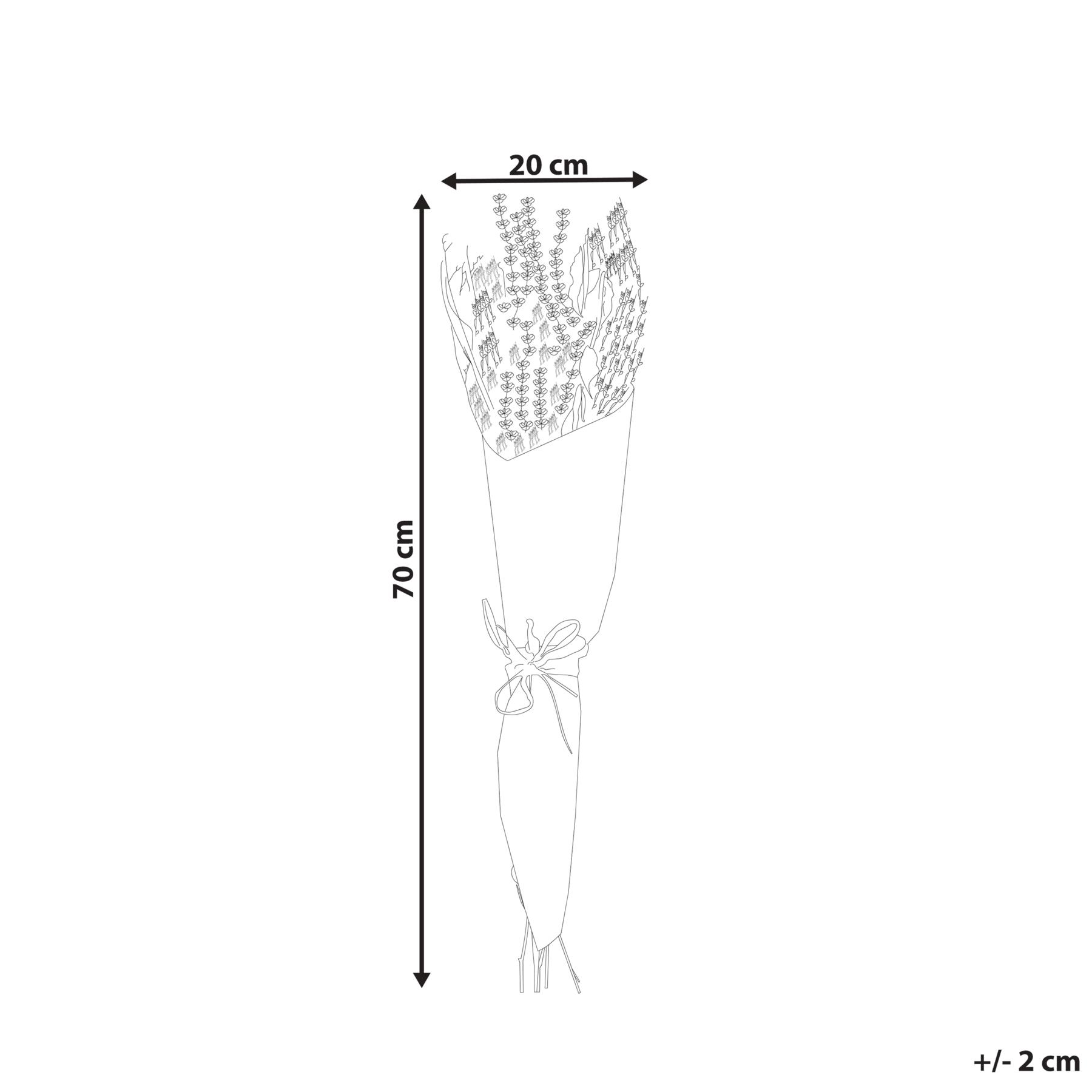 Beliani - NAWARRA - Droogbloemen boeket - Natuurlijk - Droogbloemen