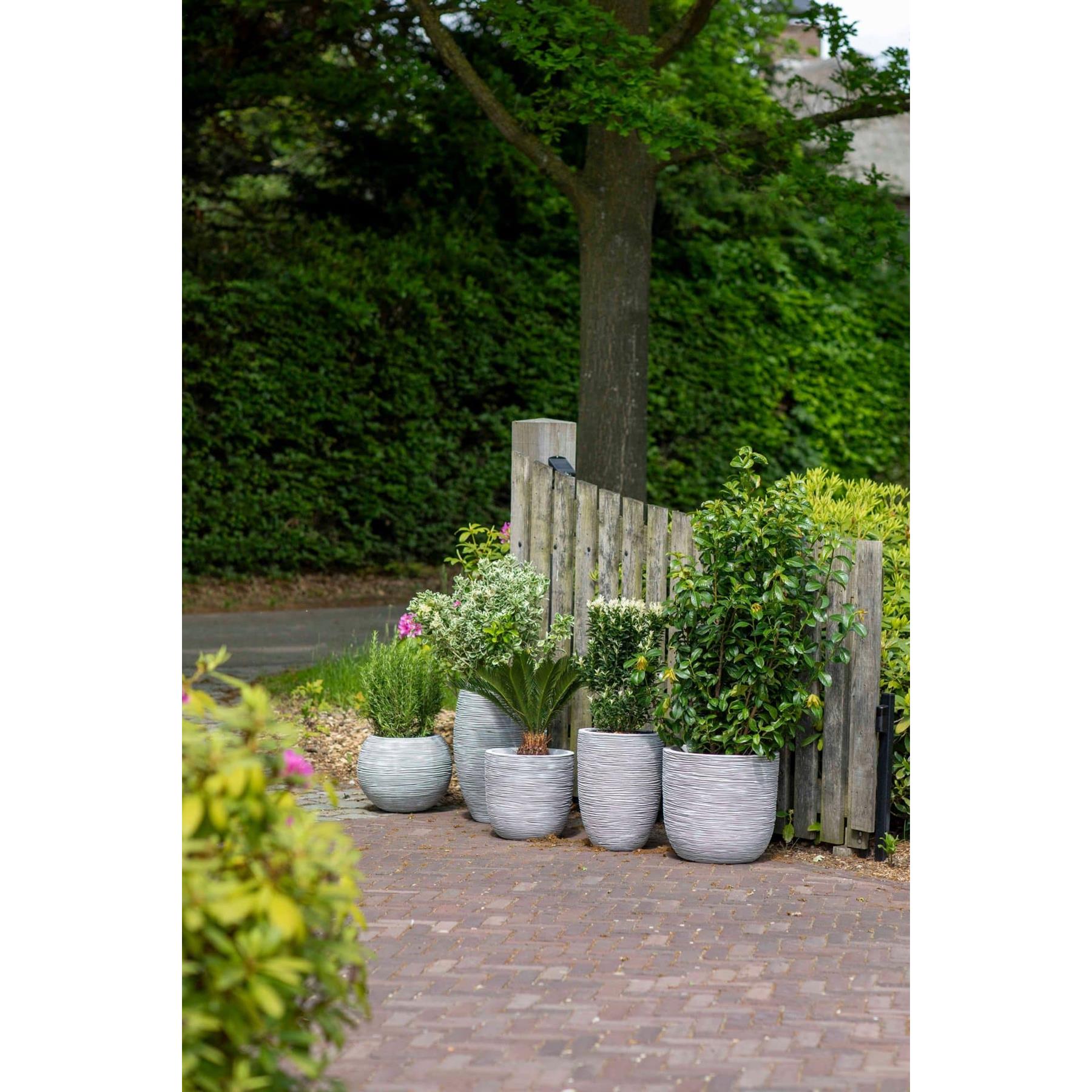Capi Europe Vaas elegant laag Rib NL - 46x58 - Goud