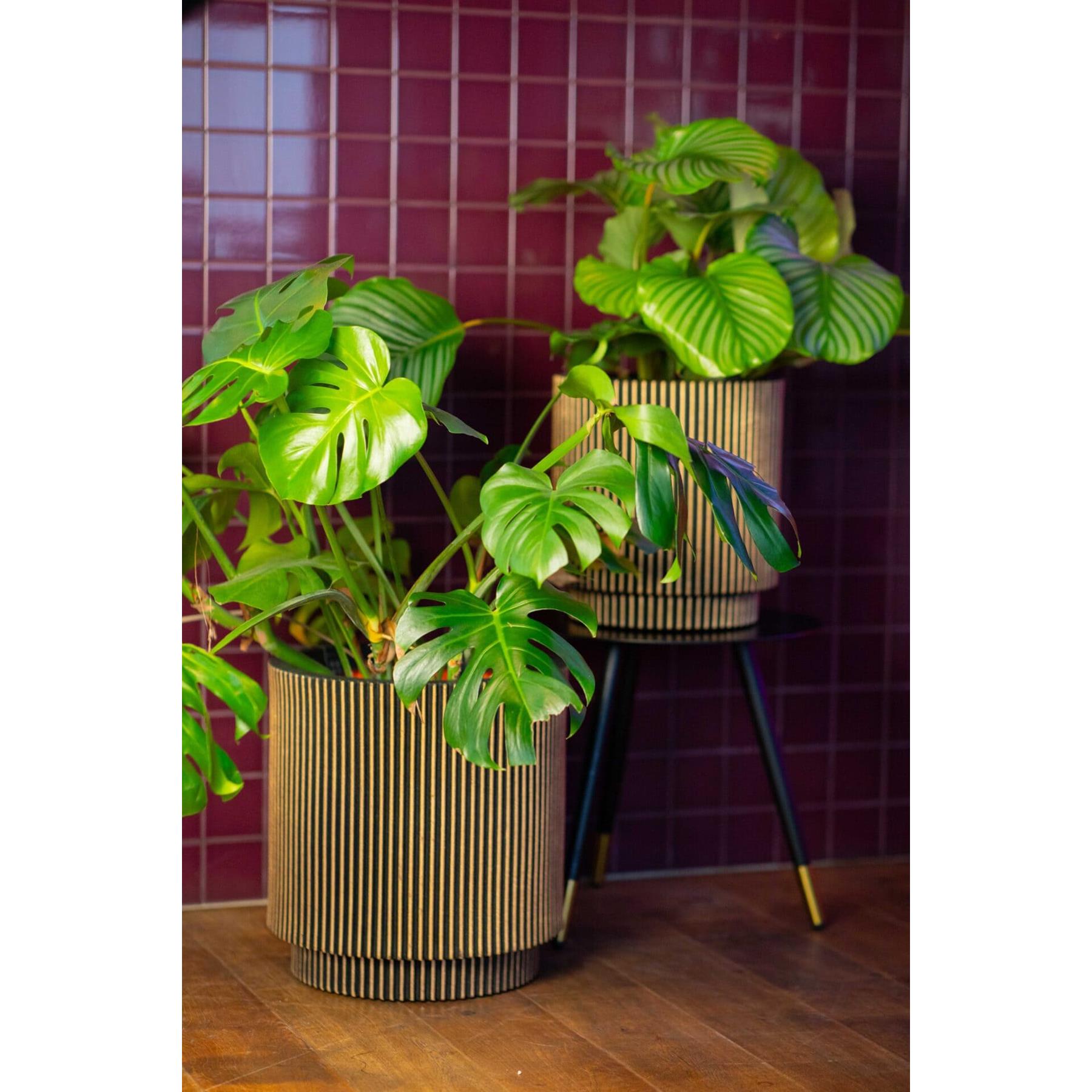 Capi Europe Vaas cilinder Groove NL - 41x43 - Zwart