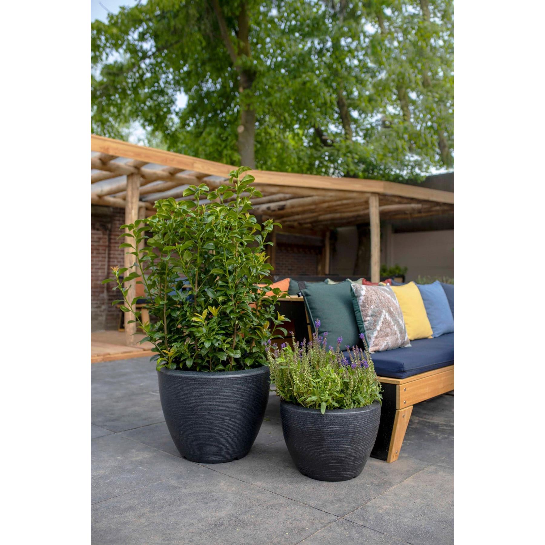 Capi Europe Bloempot bol Arc Granite - 75x60 - Zwart