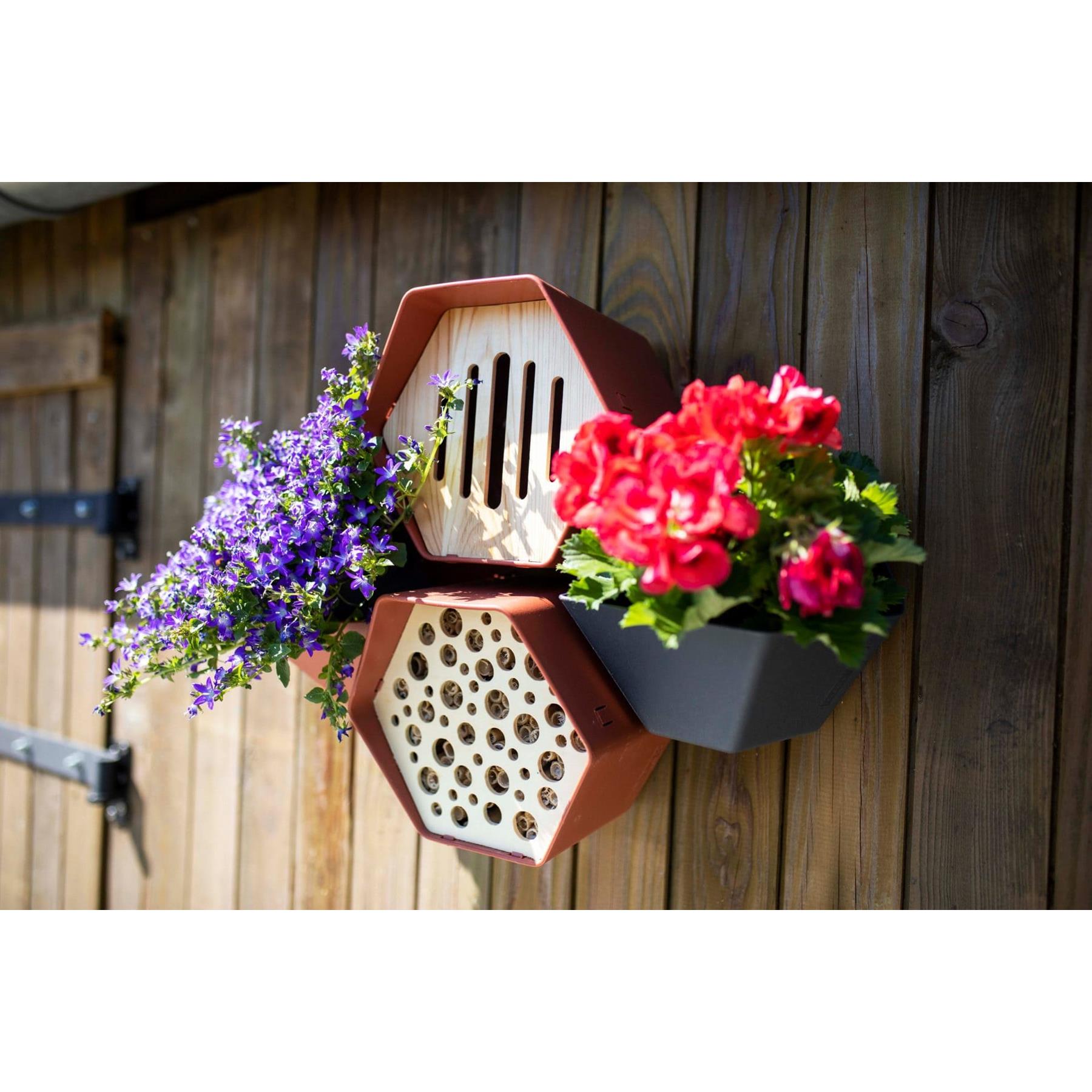 Capi Europe Plantenbakje Hive - 19x23x20 - Bruin