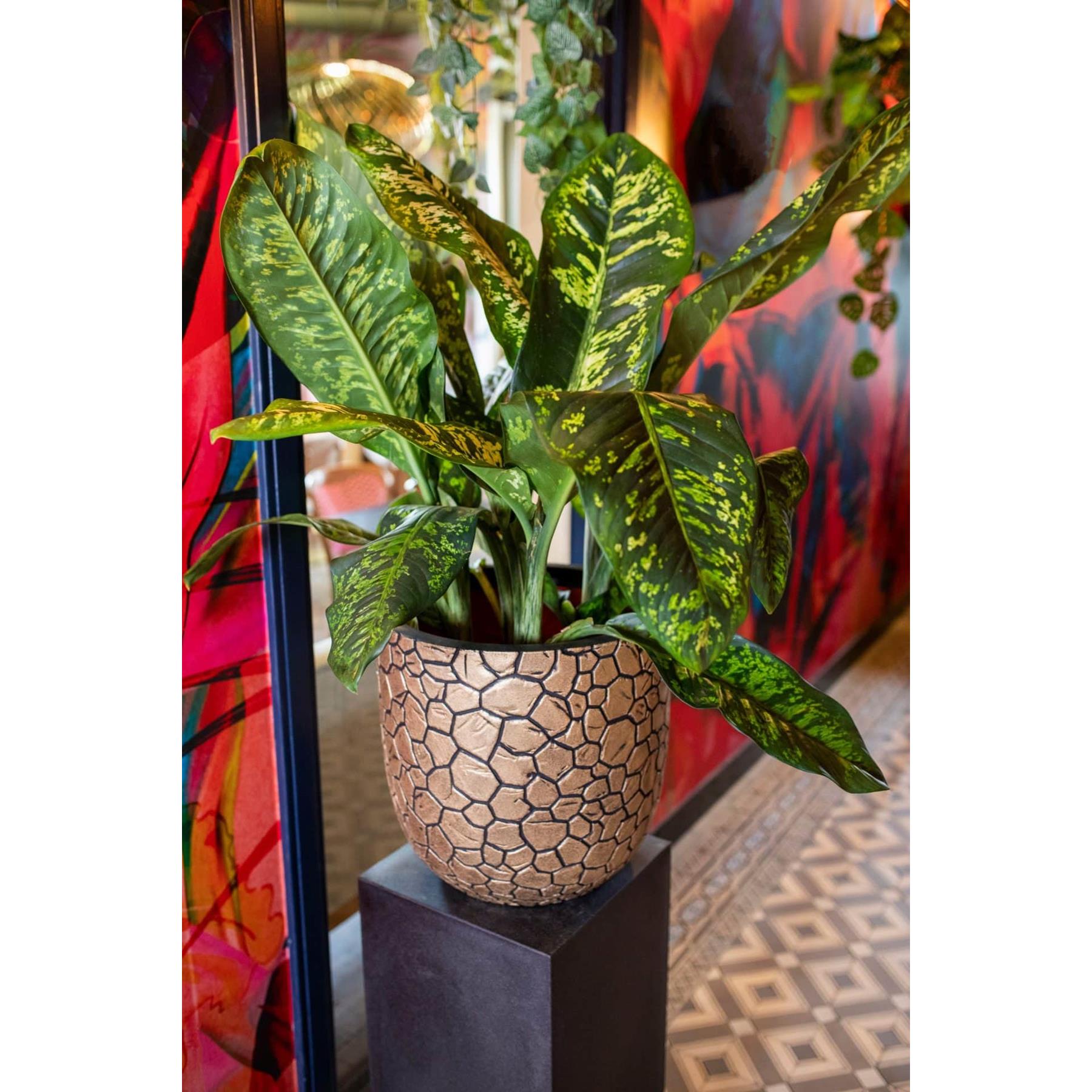 Capi Europe Bloempot bol Clay NL - 43x41 - Goud