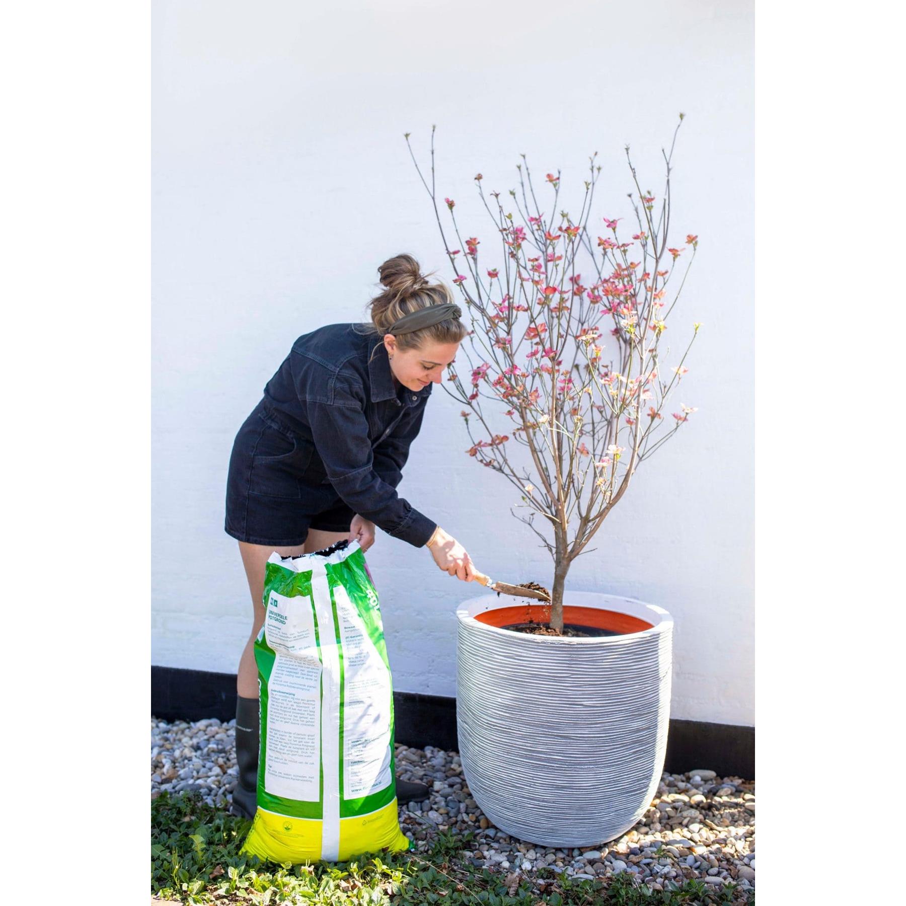 Capi Europe Bloempot bol Rib NL - 35x34 - Goud