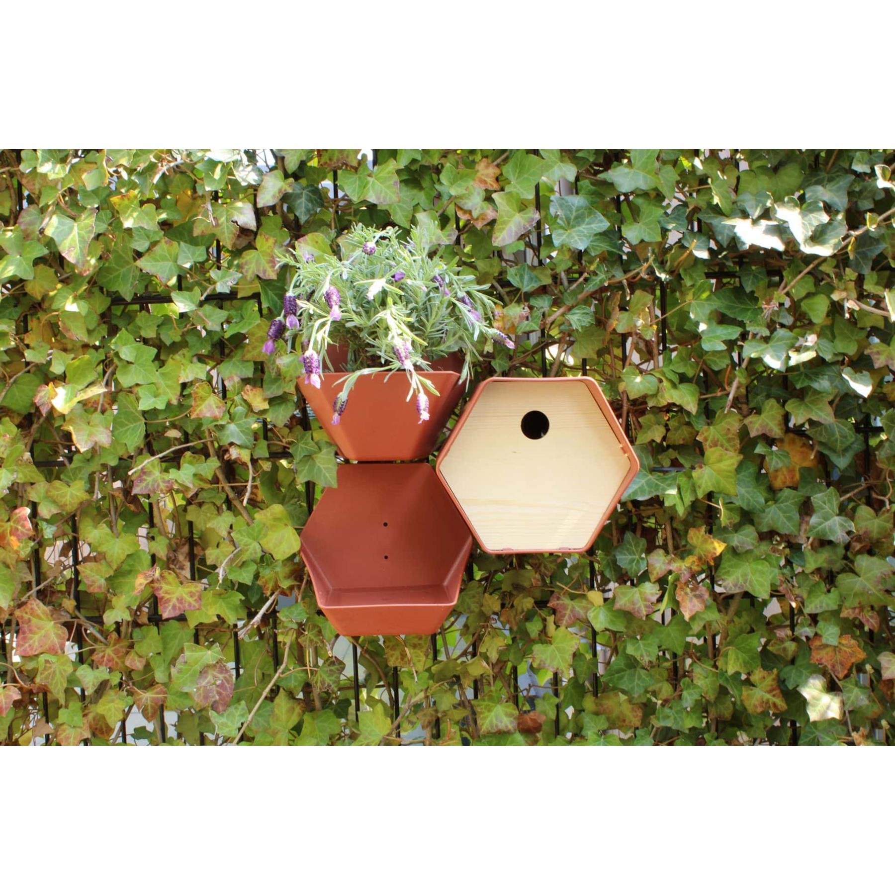 Capi Europe Vogelhuisje rond Hive - 19x23x20 - Antraciet