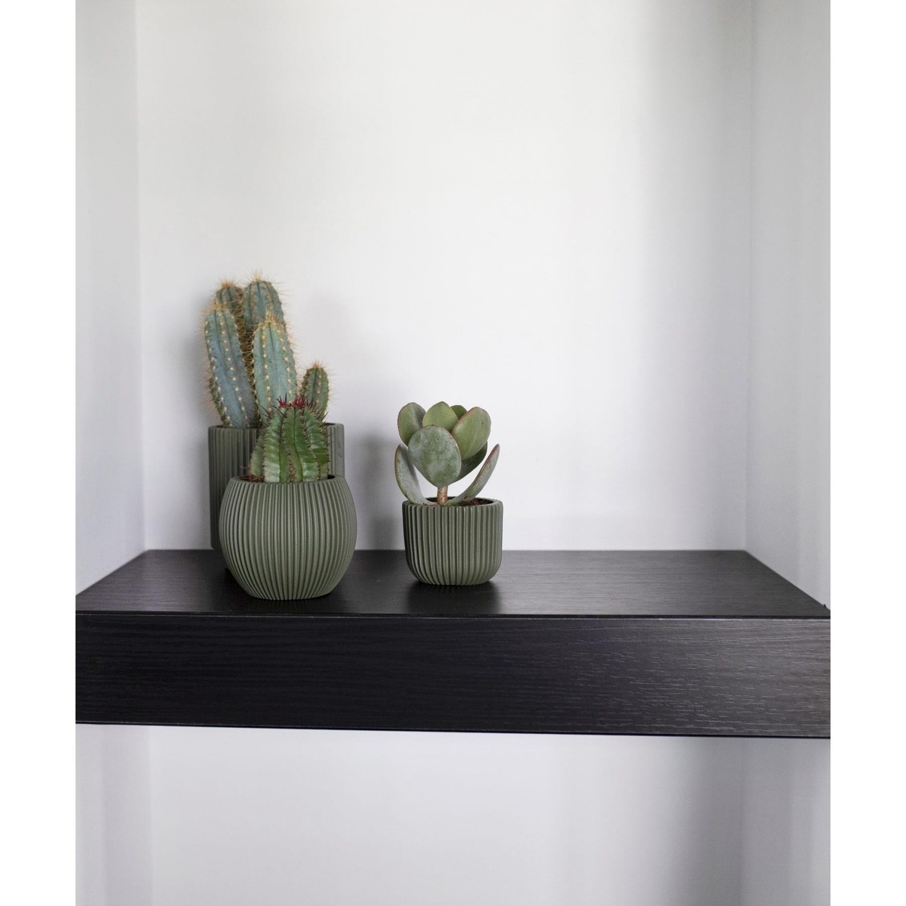 Capi Europe Vaas bol Groove Colours - 30x25 - Paars