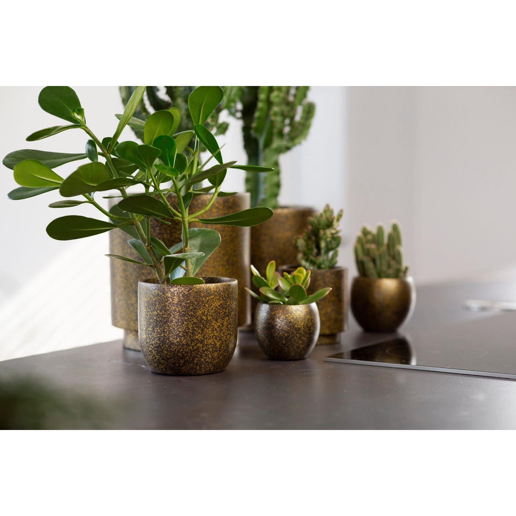Capi Europe Vaas cilinder Terrazzo Gold - 15x17 - Goud