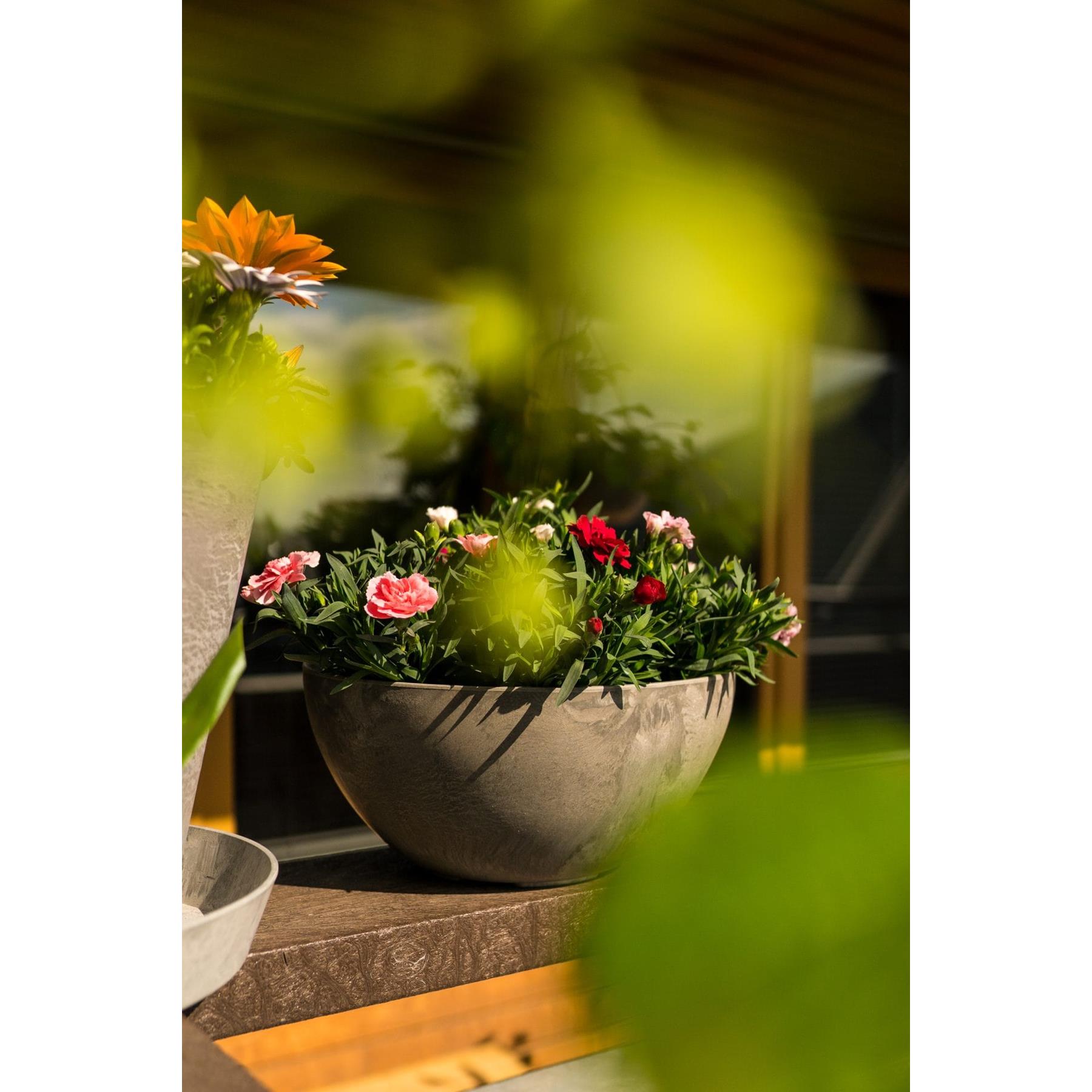 Artstone Bowl Fiona - 31x15 - Zwart