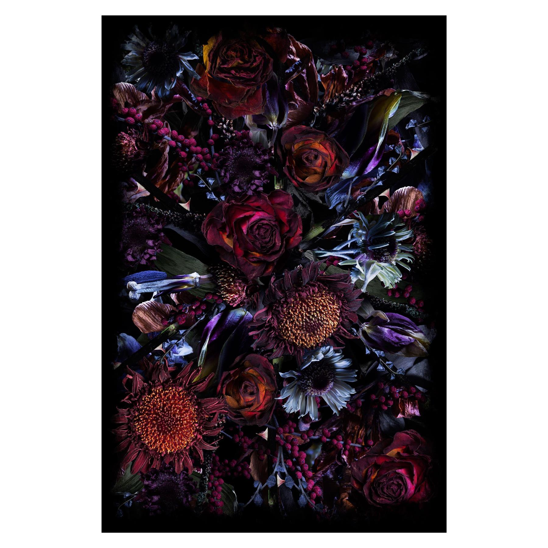 Moooi Carpets Fool's Paradise vloerkleed 200x300 polyamide paars