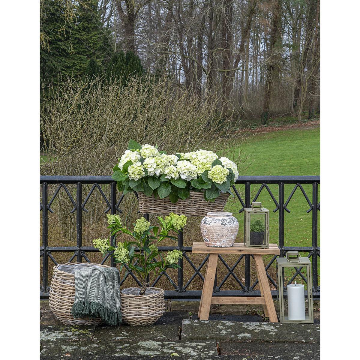 Artichok Ted glazen windlicht groen - set van 2